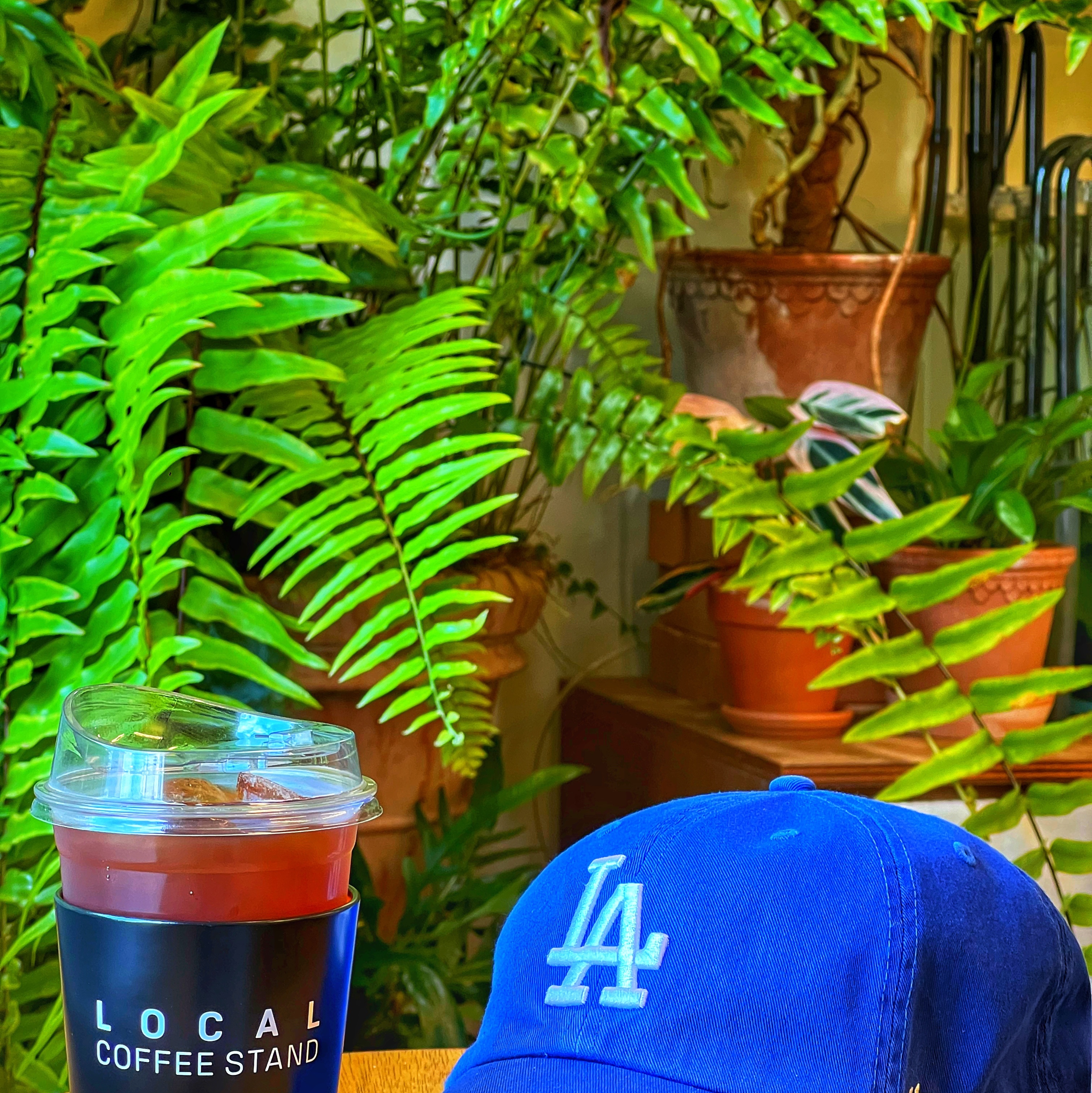 47 Brand LA Dodgers Clean Up Royal 착용 스타일