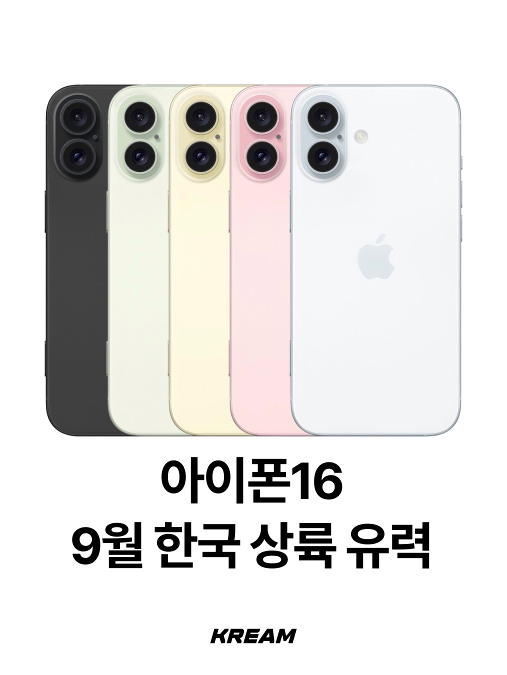 KREAM님의 스타일