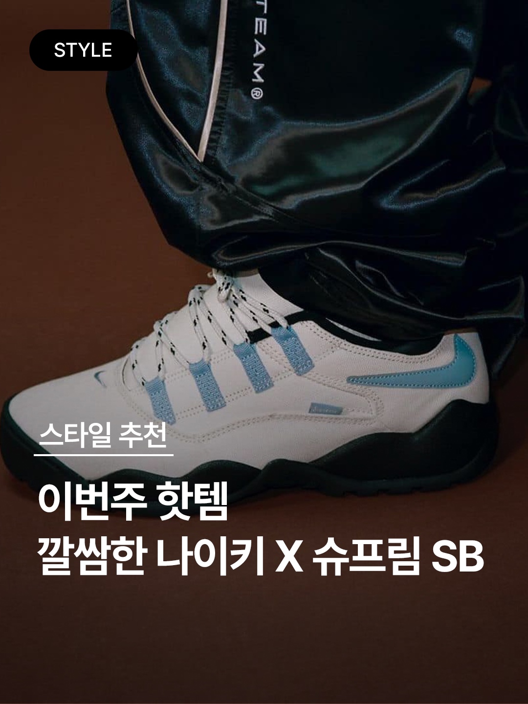 Nike x Supreme SB Darwin Low White, Nike x Supreme SB Darwin Low Green 착용 스타일 - 1