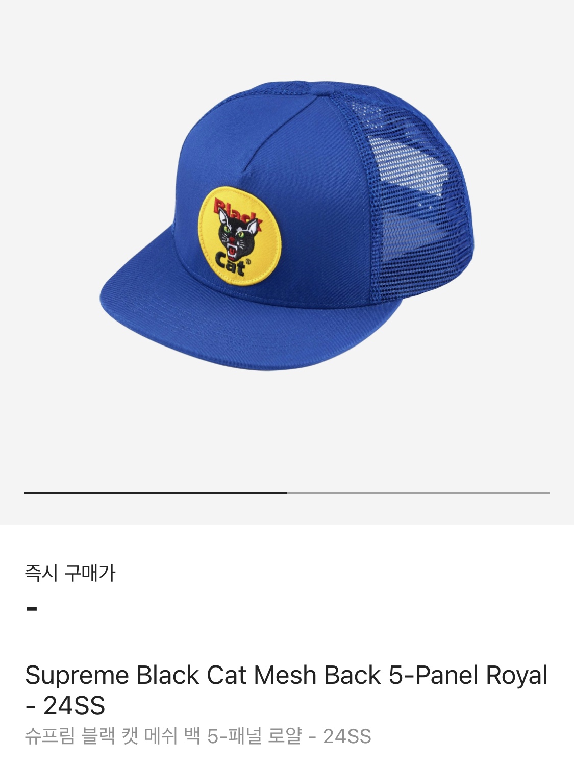 Supreme Black Cat Mesh Back 5-Panel Royal - 24SS 착용 스타일 - 2