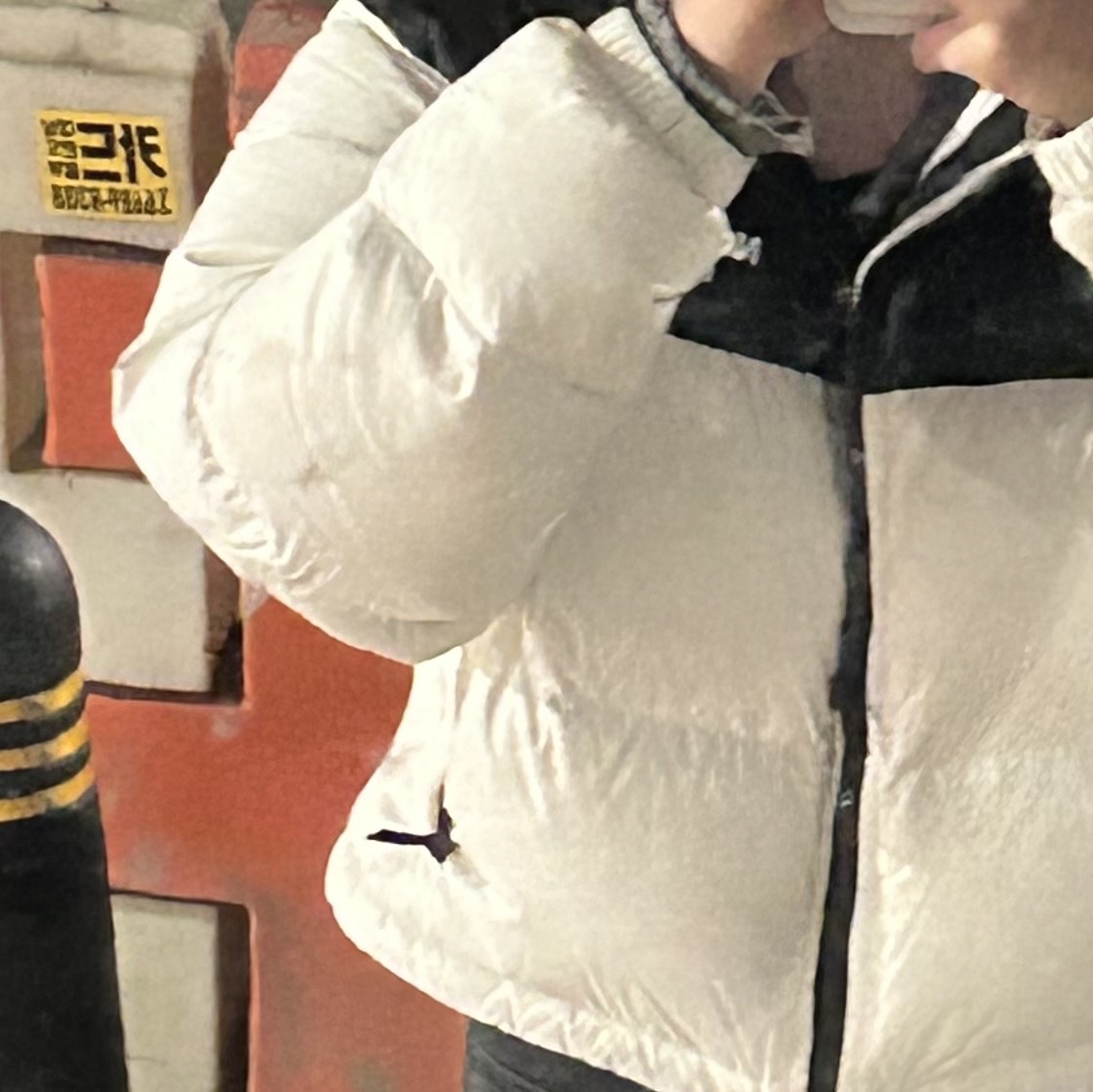(W) The North Face Nuptse Short Jacket Gardenia White TNF Black 착용 스타일
