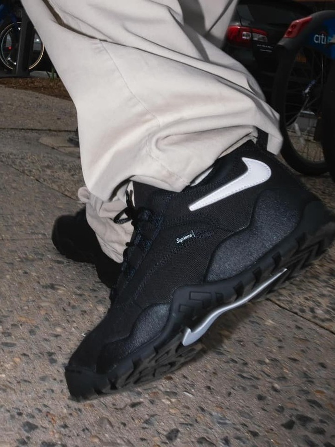 Nike x Supreme SB Darwin Low White, Nike x Supreme SB Darwin Low Green 착용 스타일 - 5