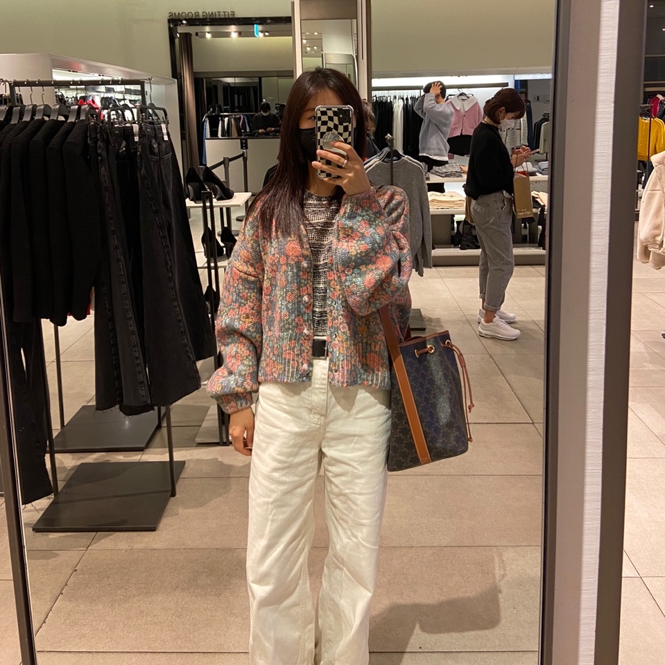 Celine Small Bucket in Triomphe Canvas and Calfskin Tan 착용 스타일