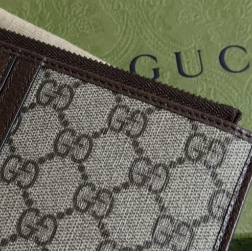 Gucci Ophidia GG Pouch with Web Beige Ebony 착용 스타일