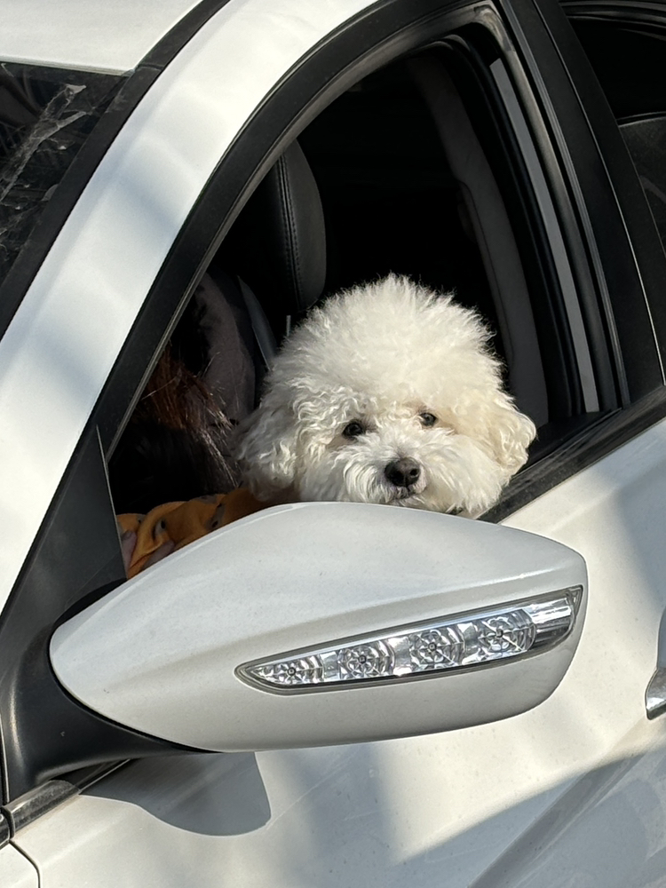 관심 유저 프로필 이미지