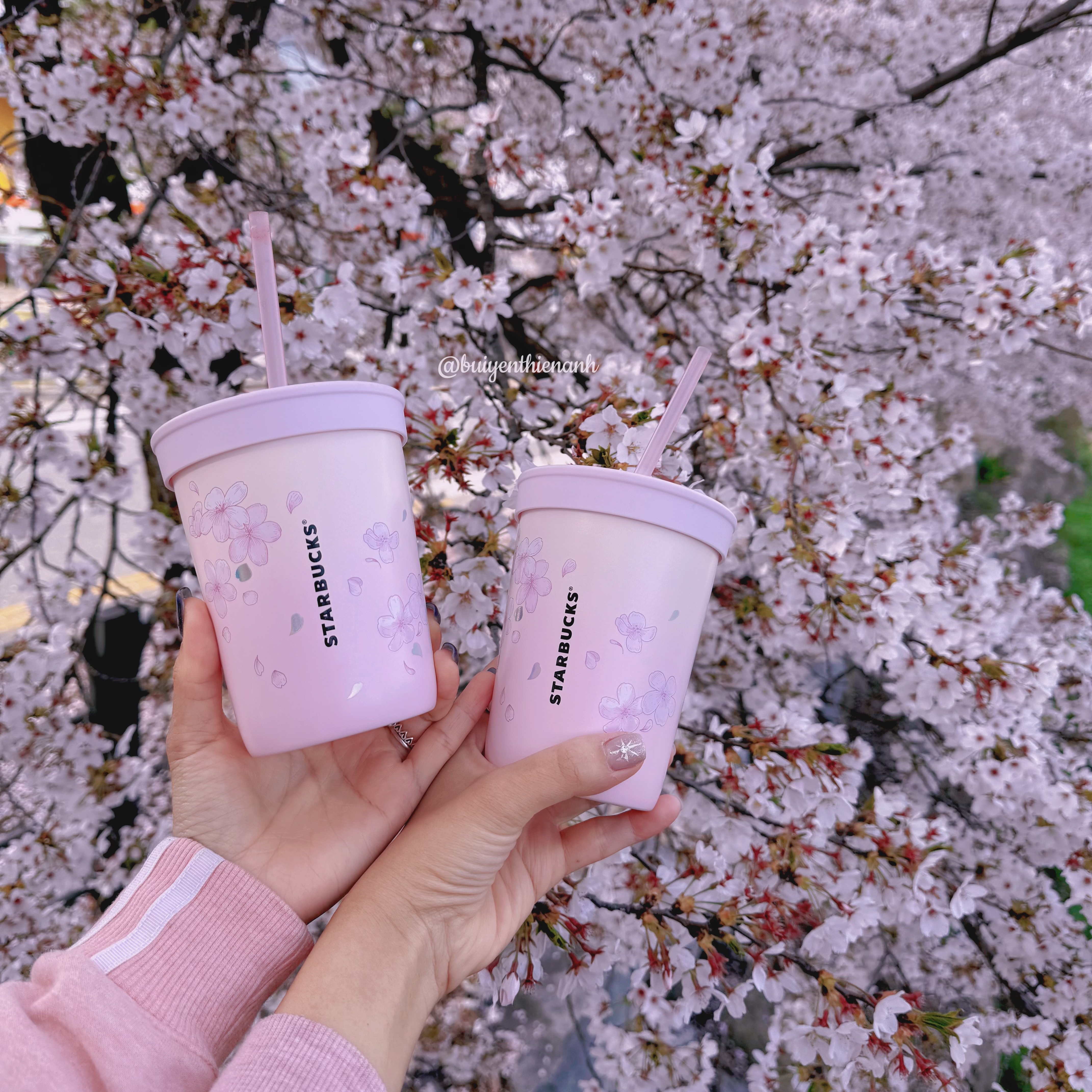 Starbucks SS Blossom Secret Garden Harvey Cold Cup 355ml 착용 스타일 - 2