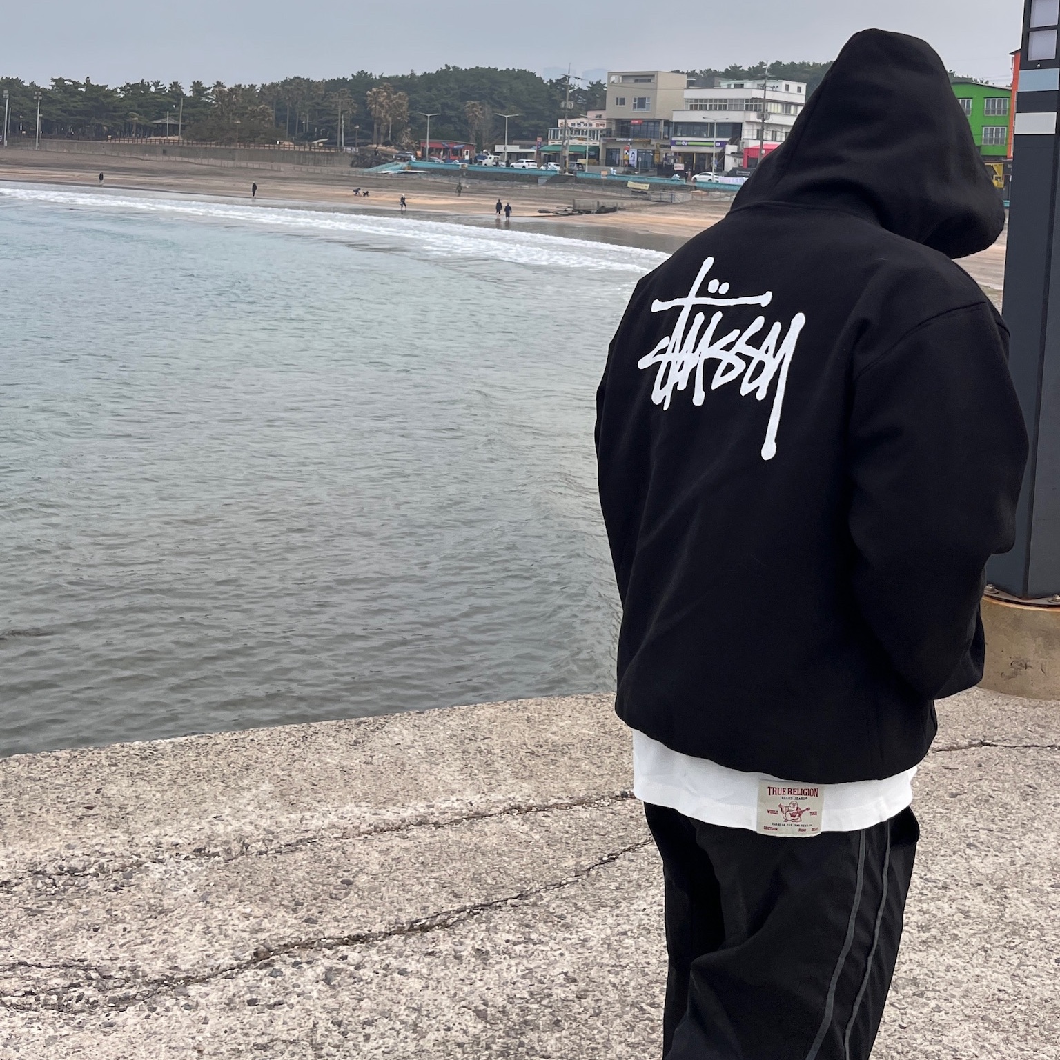 Stussy Basic Stussy Hoodie Black, True Religion Vision Logo T-Shirt Melange Grey 착용 스타일 - 2