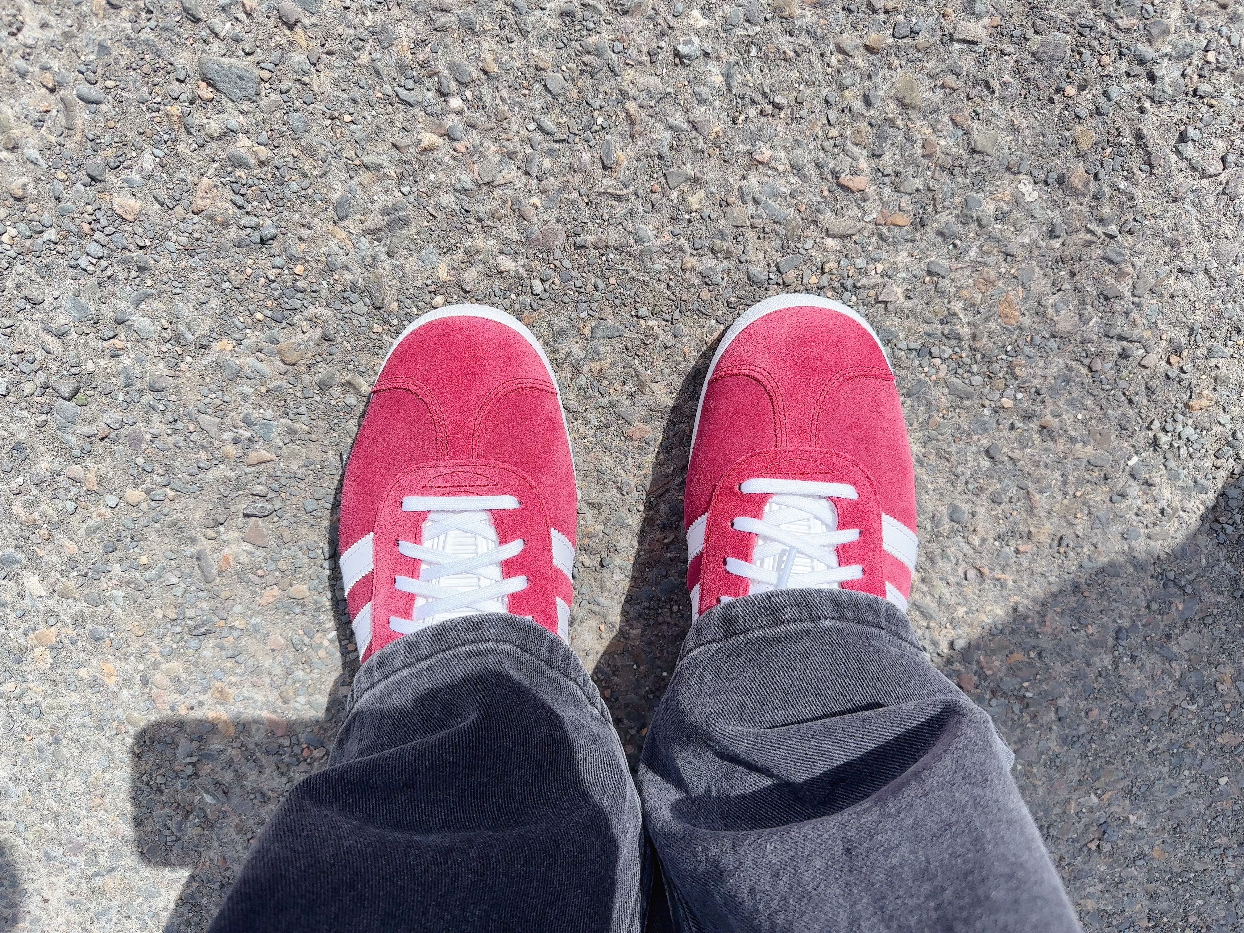 Adidas Gazelle Collegiate Burgundy, (W) Adidas Gazelle Halo Blush Cloud White 착용 스타일 - 2