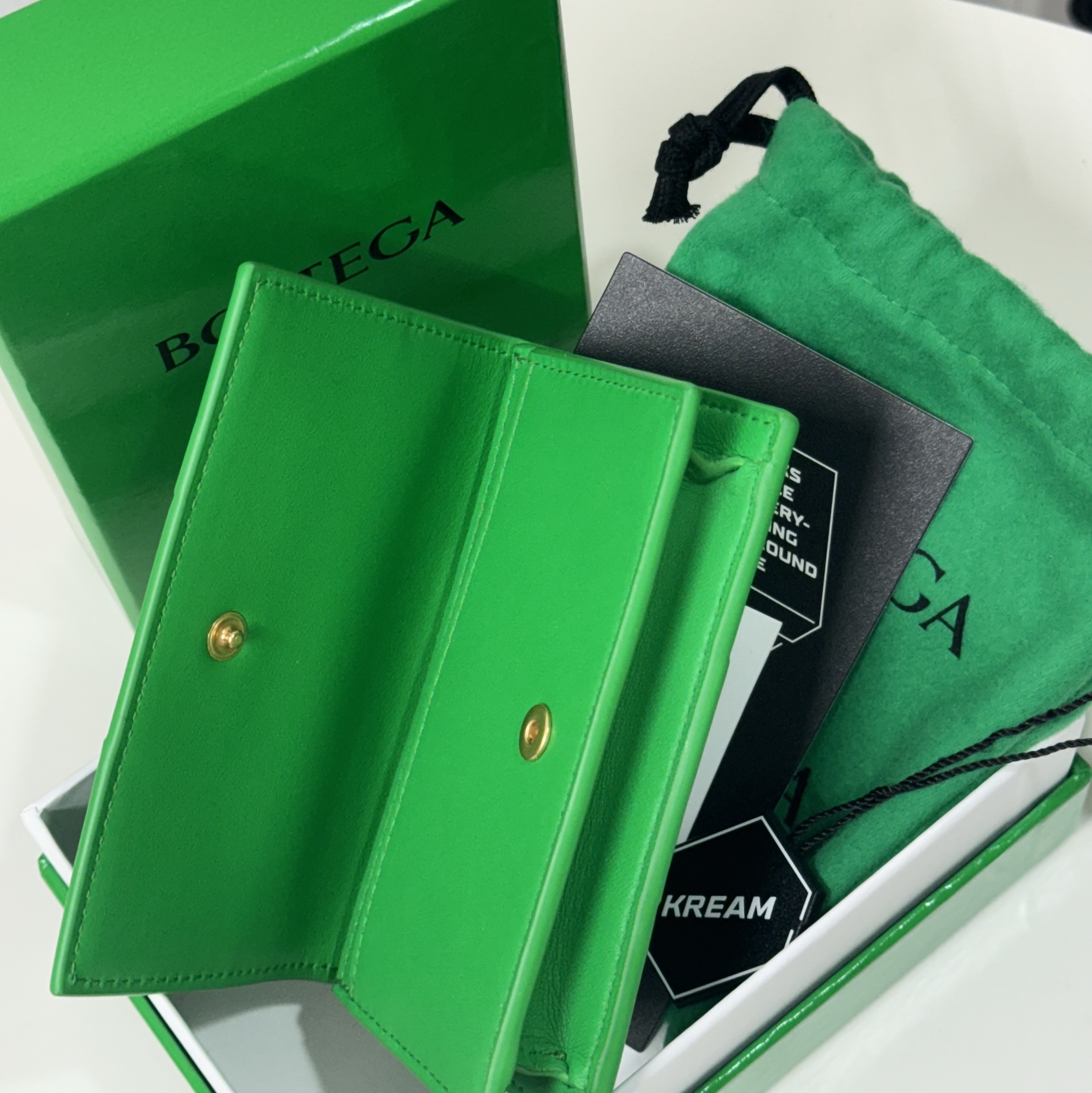 Bottega Veneta Business Card Case Parakeet 착용 스타일 - 2
