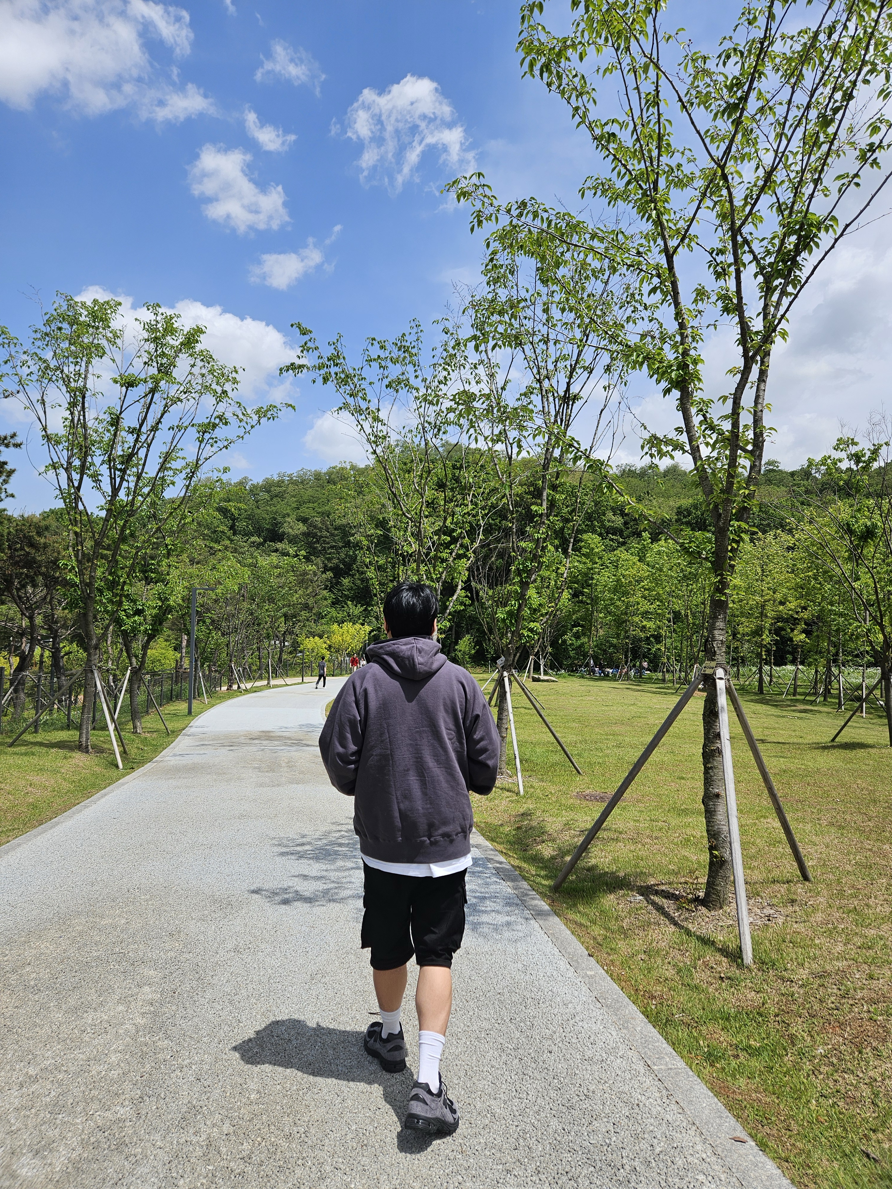 Sacai x Carhartt WIP Hoodie Black, Sacai x Carhartt WIP Hoodie Light Grey 착용 스타일 - 2