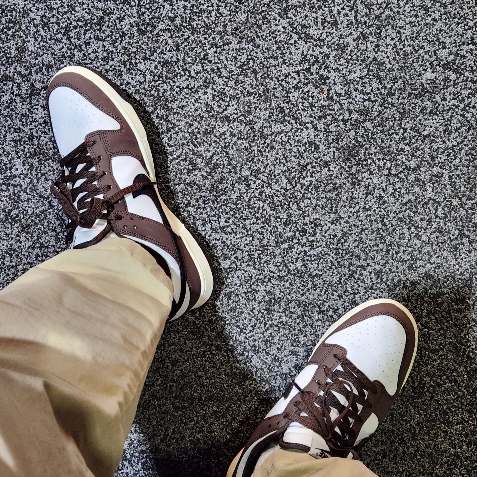 Nike Dunk Low Retro Next Nature Baroque Brown White 착용 스타일