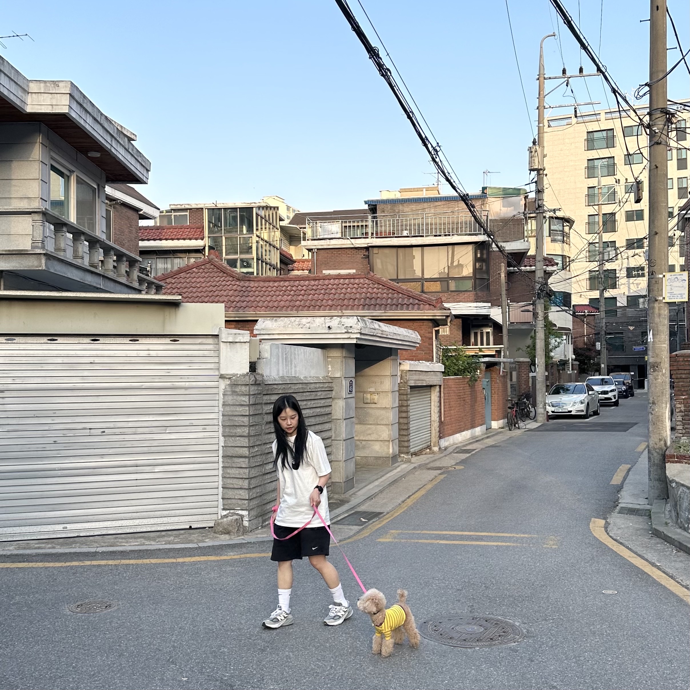 Nike NRG Solo Swoosh Fleece Shorts Black - Asia, Stussy 8 Ball Pigment Dyed T-Shirt Natural 착용 스타일