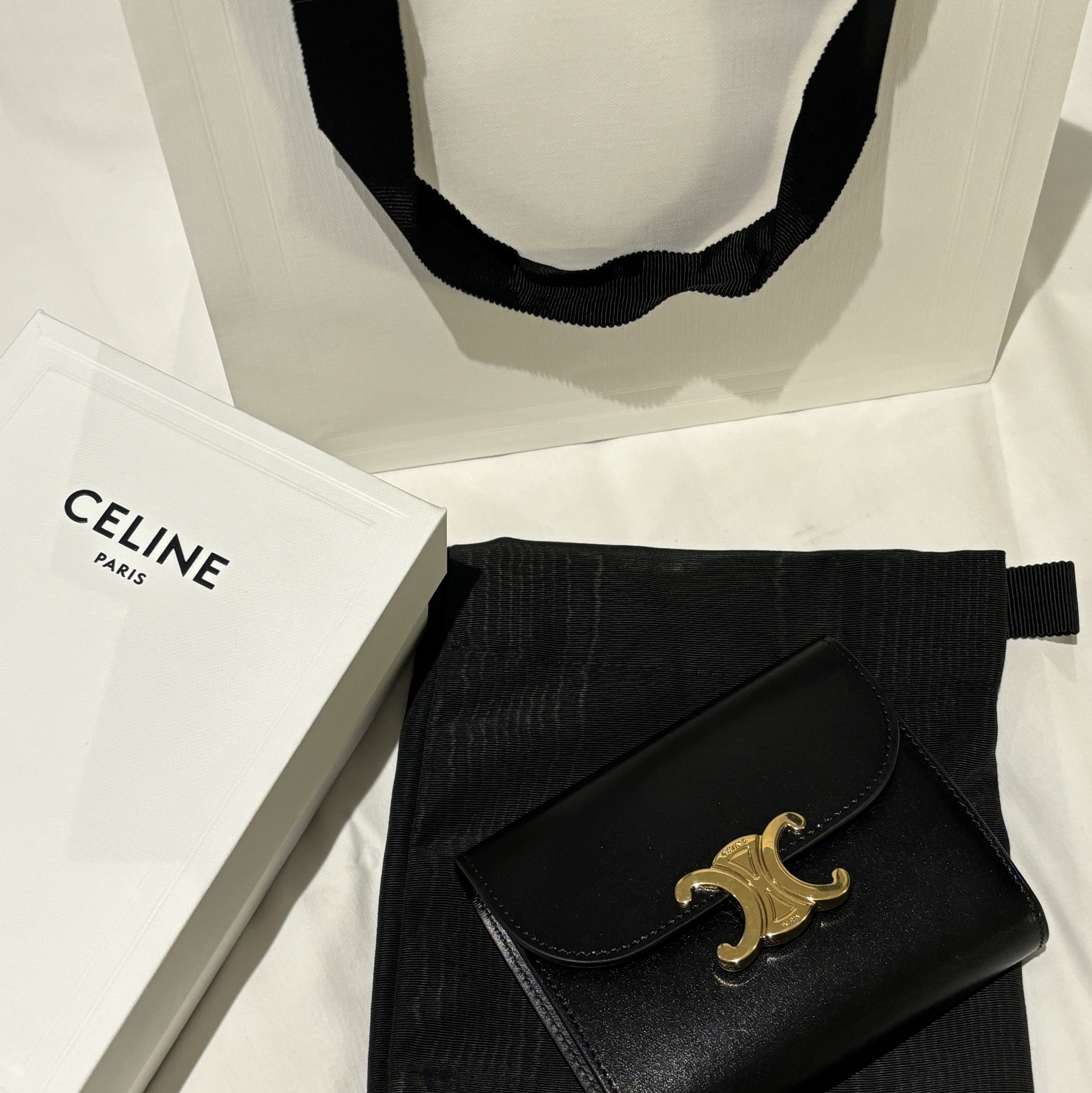 Celine Small Wallet Triomphe in Shiny Calfskin Black 착용 스타일