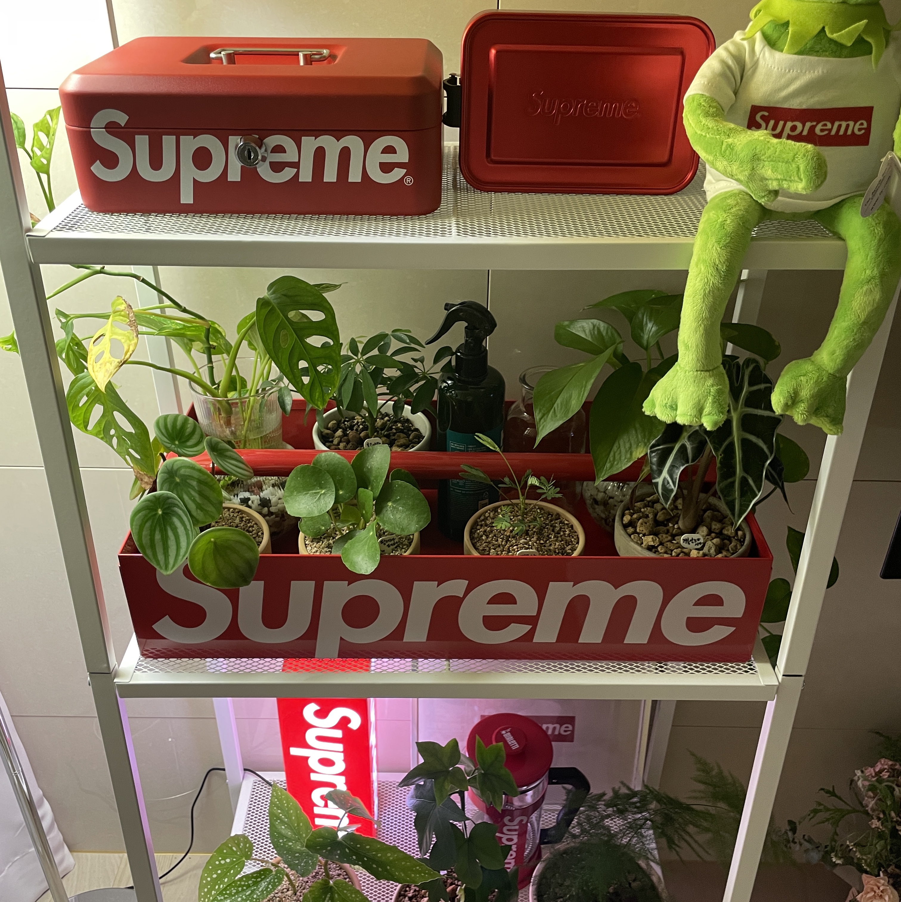 Supreme Lock Box Red - 17FW, Supreme x Sigg Small Metal Box Plus Red - 18SS 착용 스타일 - 1