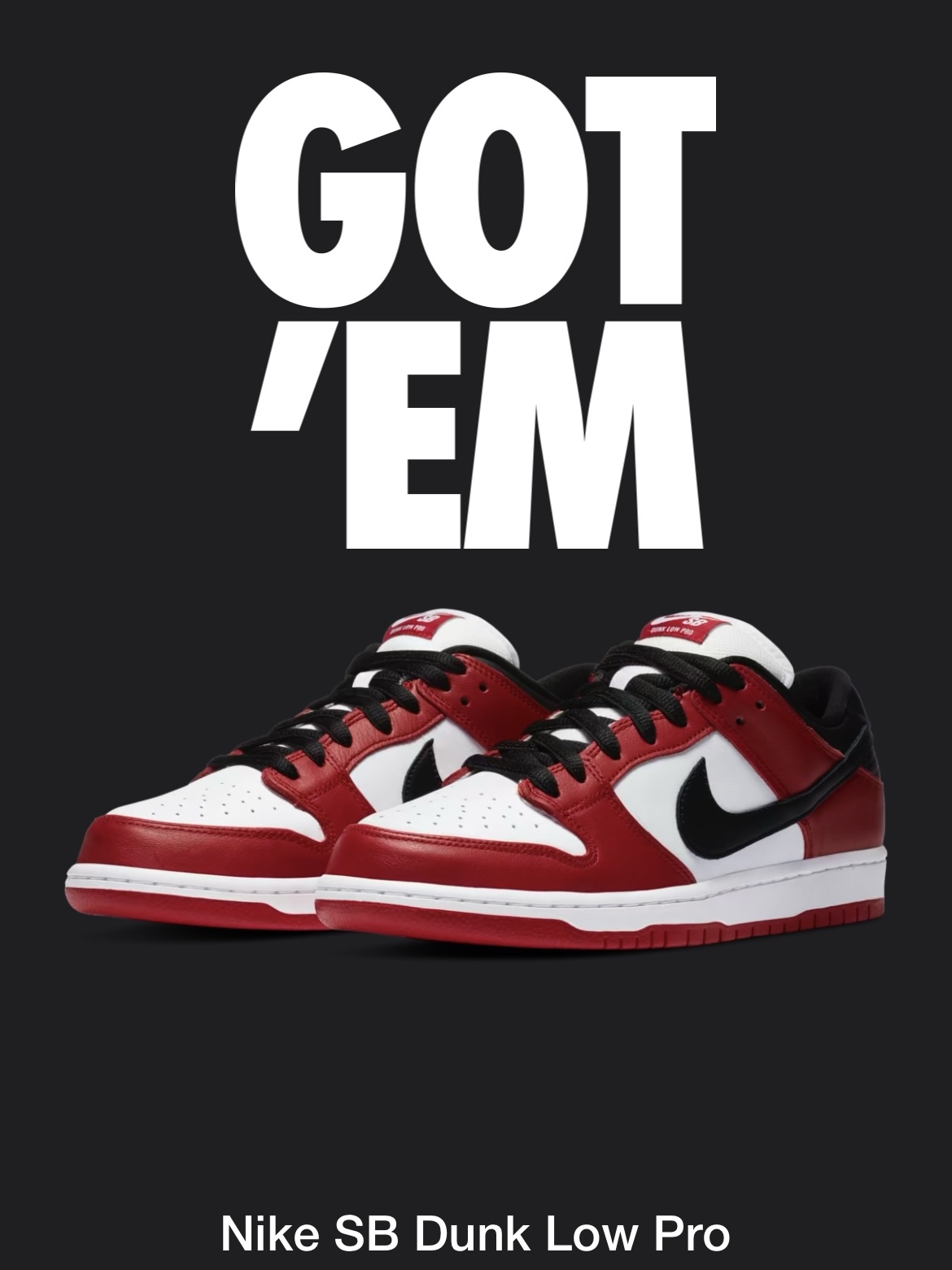 Nike SB Dunk Low Pro Chicago 착용 스타일
