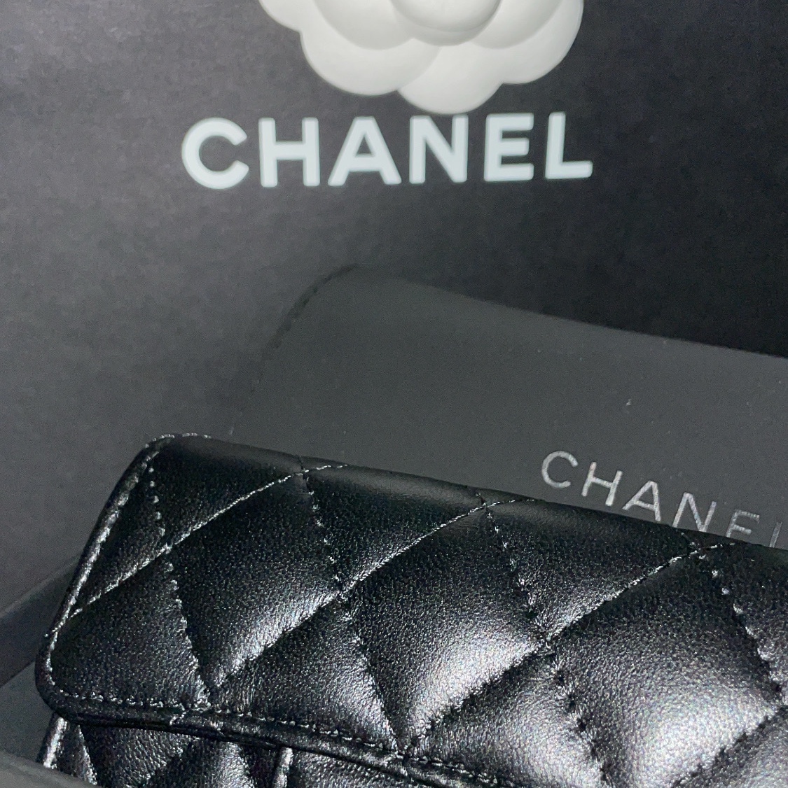 Chanel Classic Card Holder Lambskin & Gold Black 착용 스타일