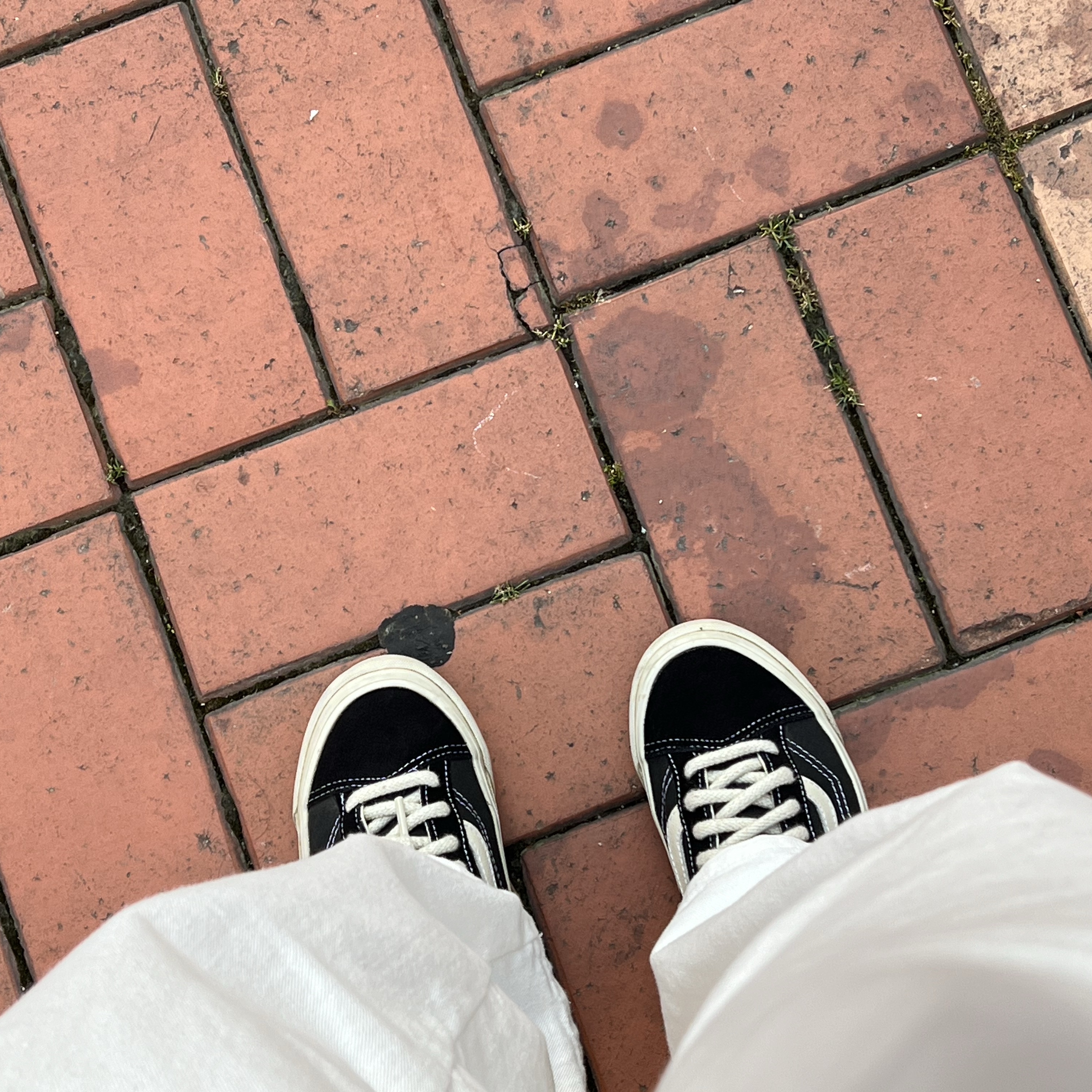 Vans Vault x Worksout OG Style 36 LX Black White Aspa 착용 스타일