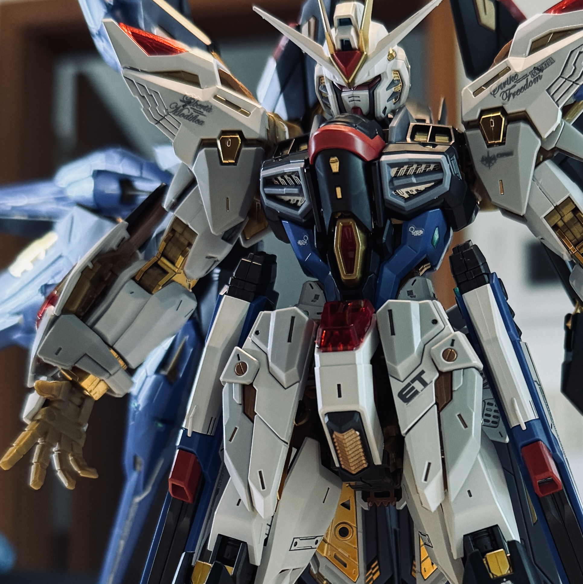 Bandai MGEX Strike Freedom Gundam 착용 스타일 - 2