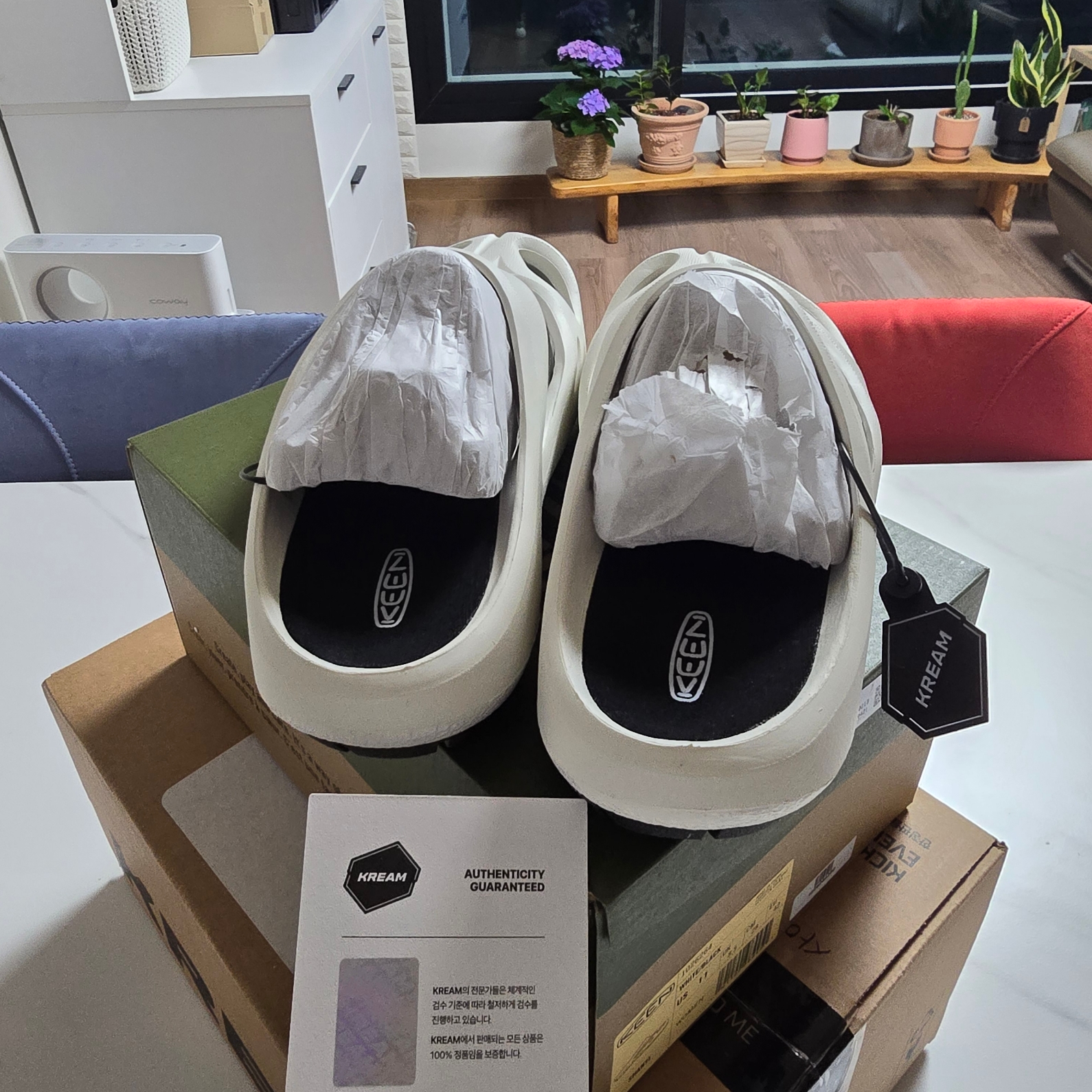 (W) Keen Shanti White Black 착용 스타일 - 5