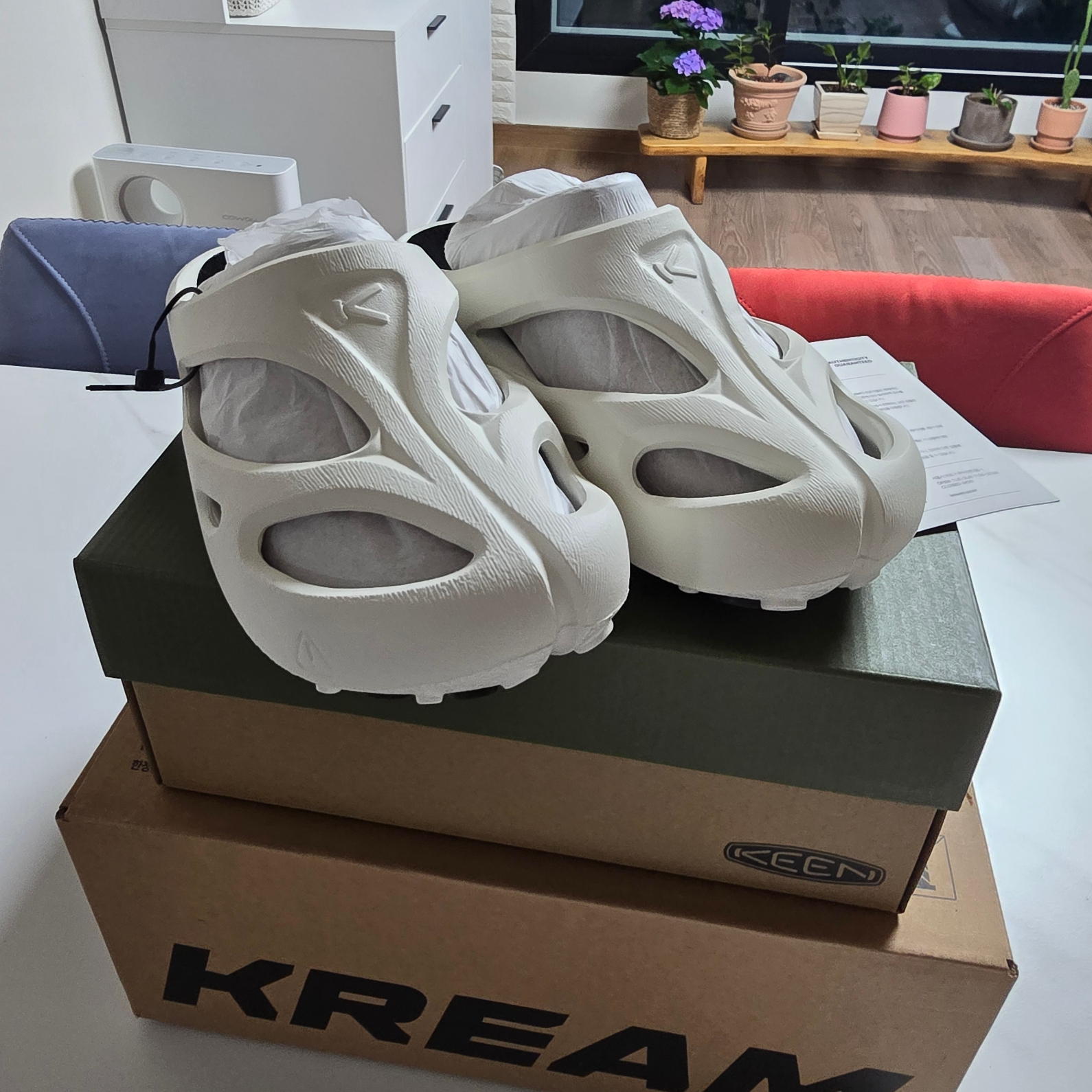 (W) Keen Shanti White Black 착용 스타일 - 7