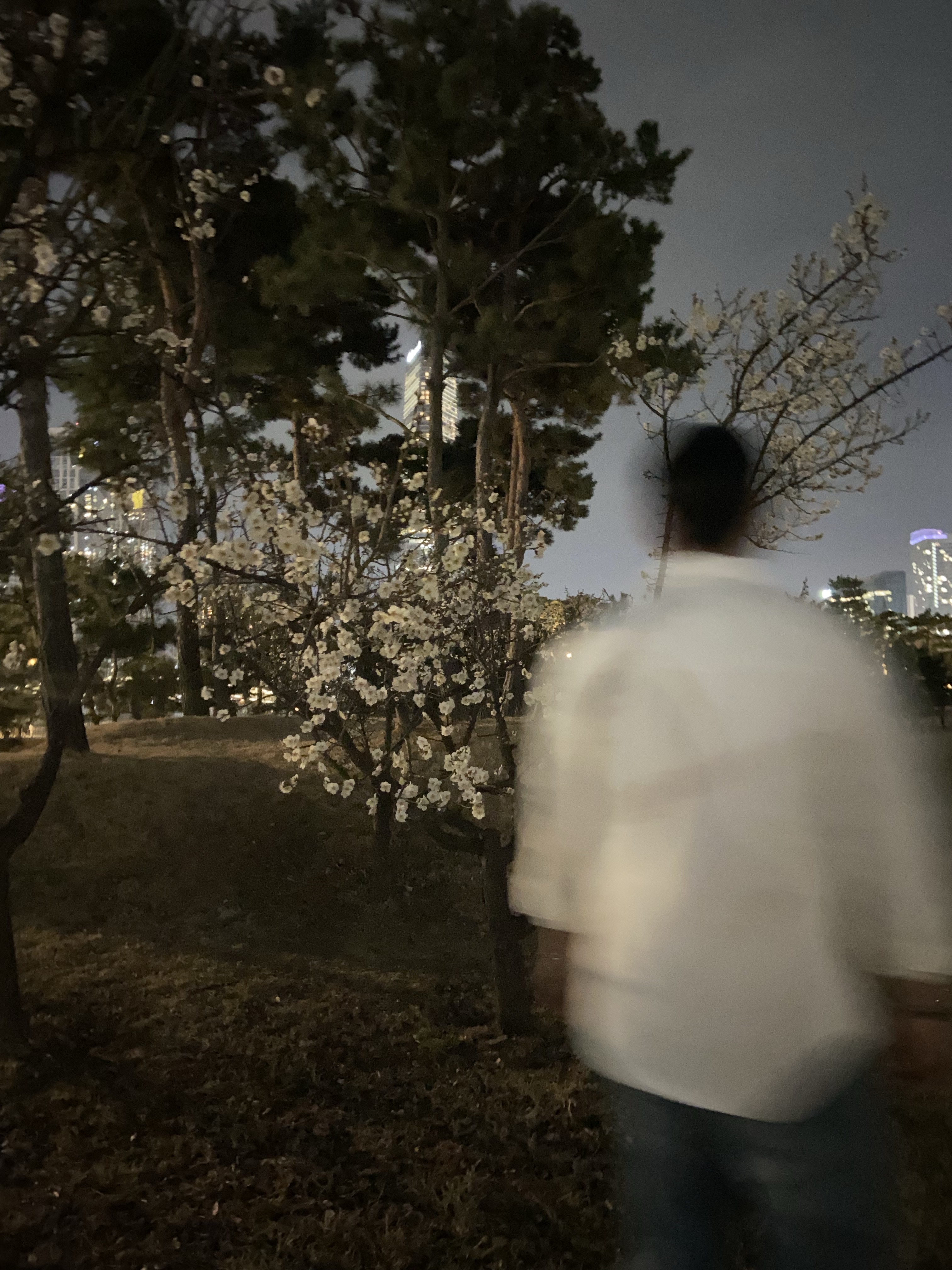 AMI de Coeur Oxford Button Down Shirt Natural White 착용 스타일 - 2