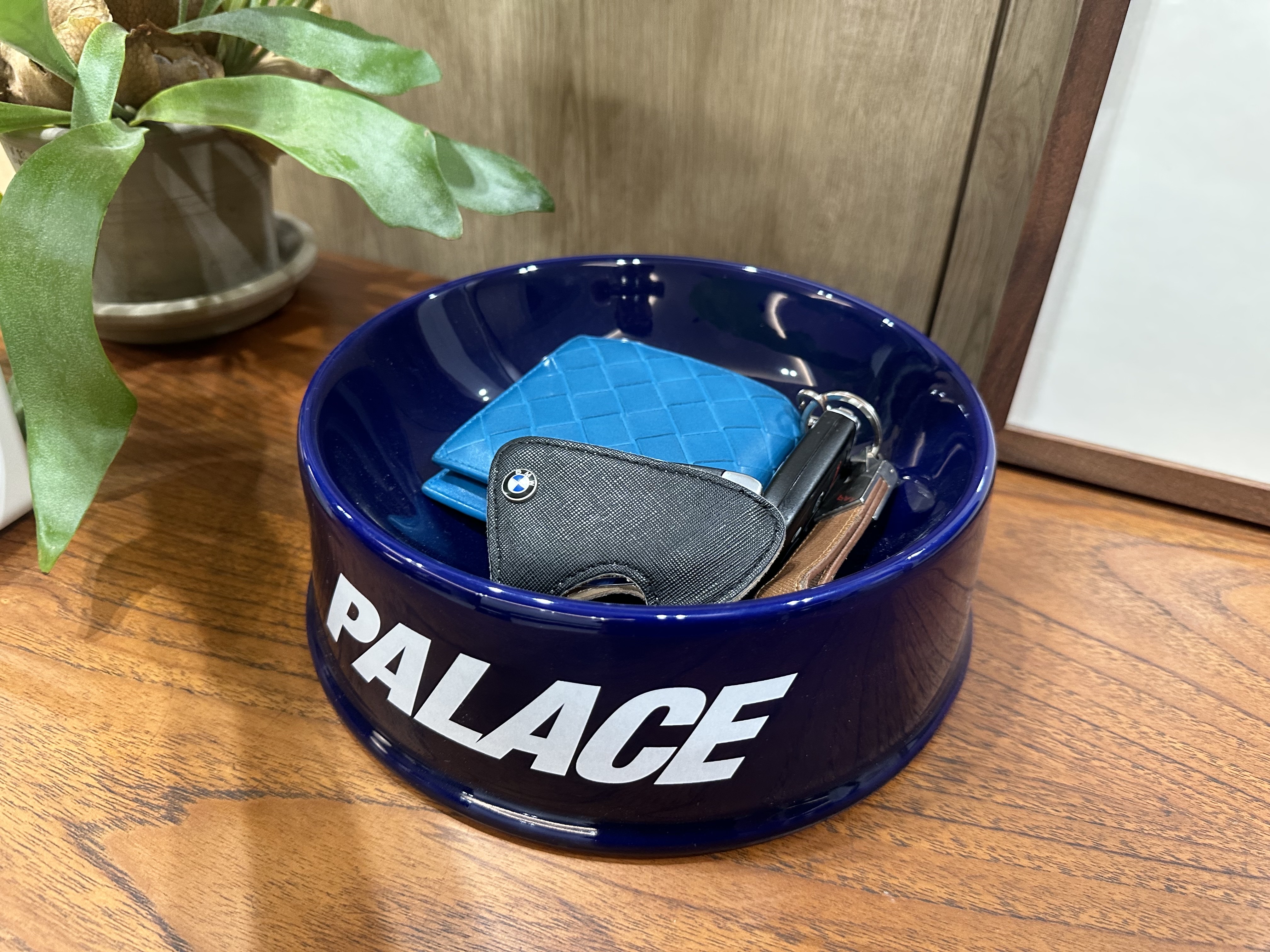 Palace Font Ceramic Dog Bowl Blue - 24SS, Palace Lucky Cat Money Bank White - 24SS 착용 스타일 - 5