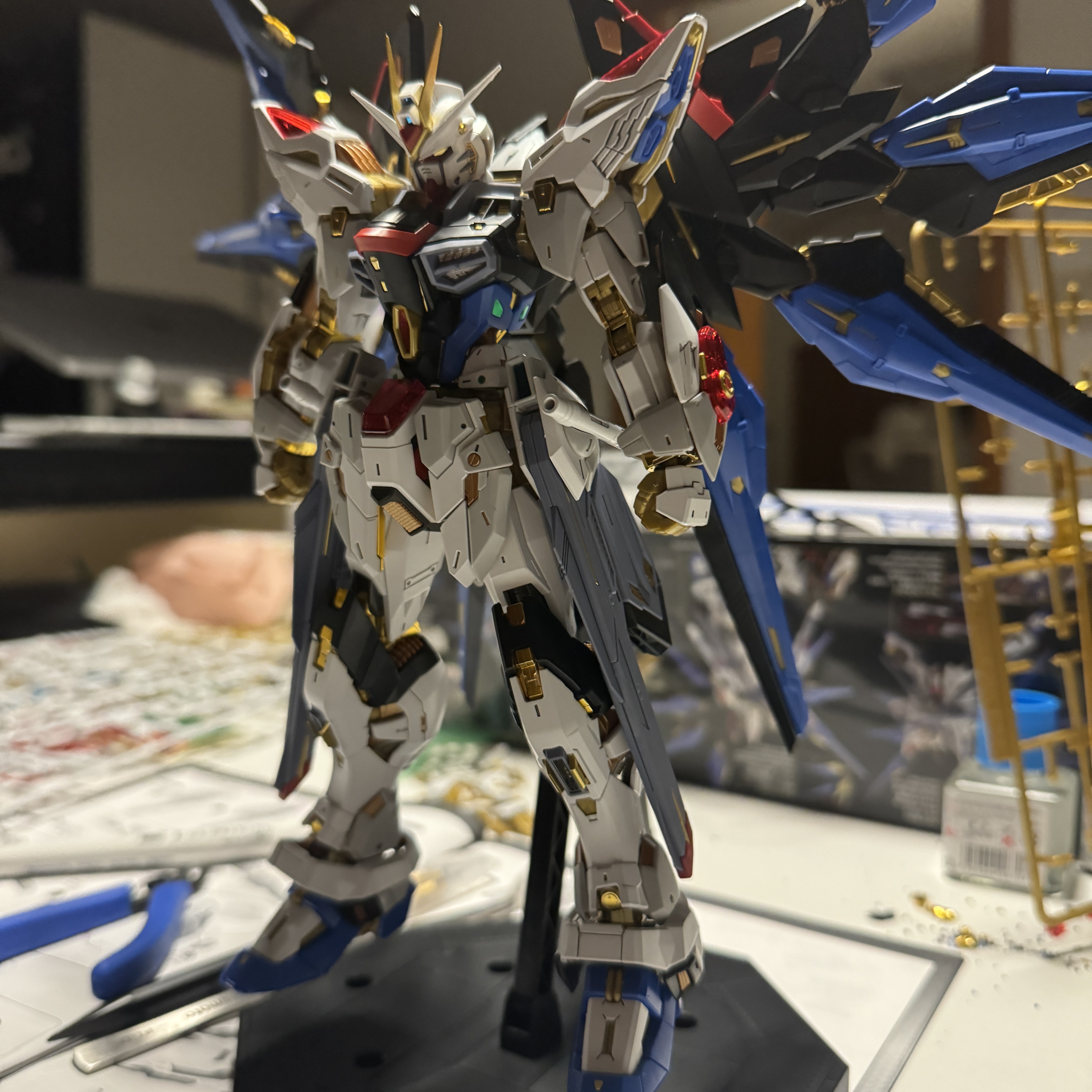 Bandai MGEX Strike Freedom Gundam 착용 스타일 - 1