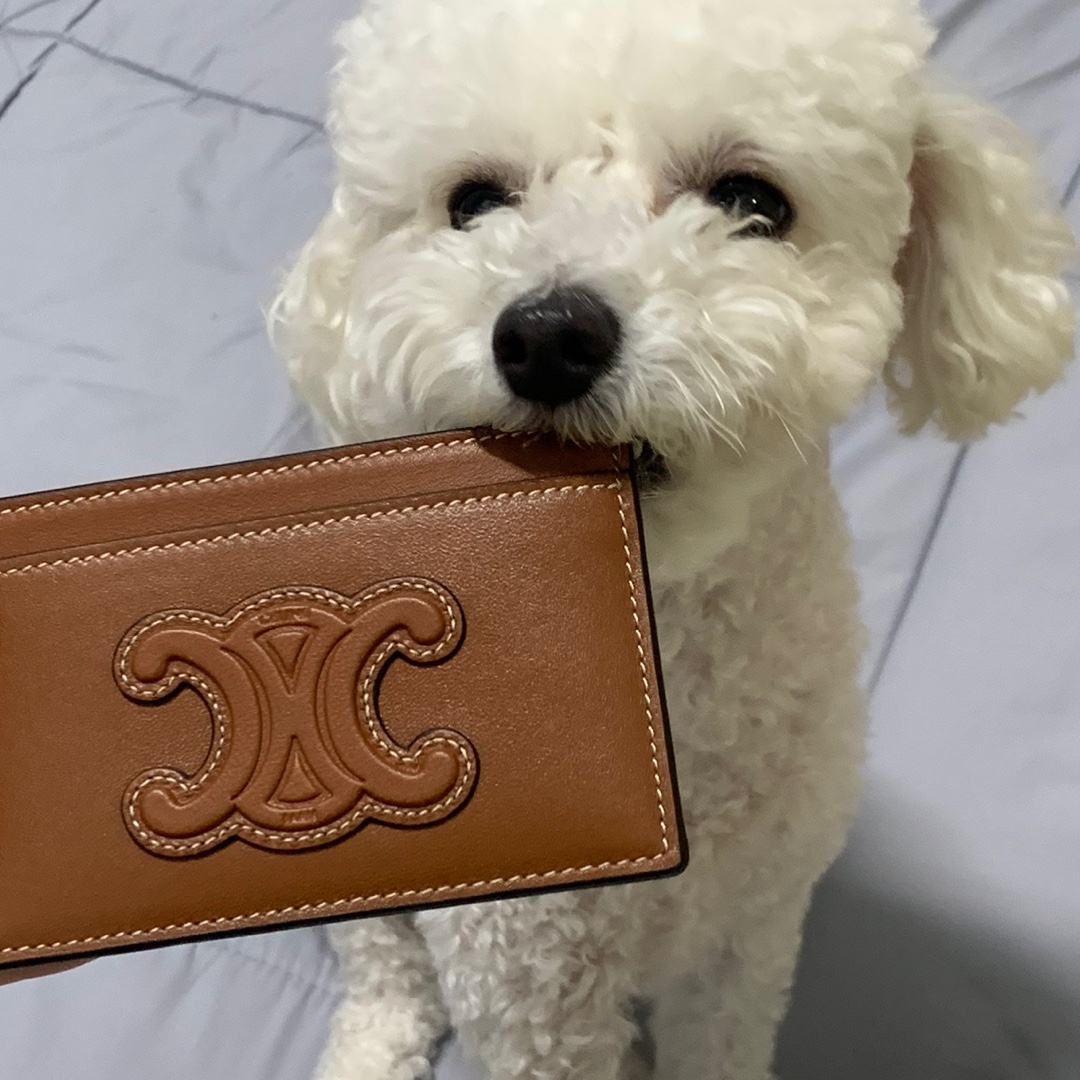 Celine Card Holder Cuir Triomphe in Smooth Lambskin Tan 착용 스타일