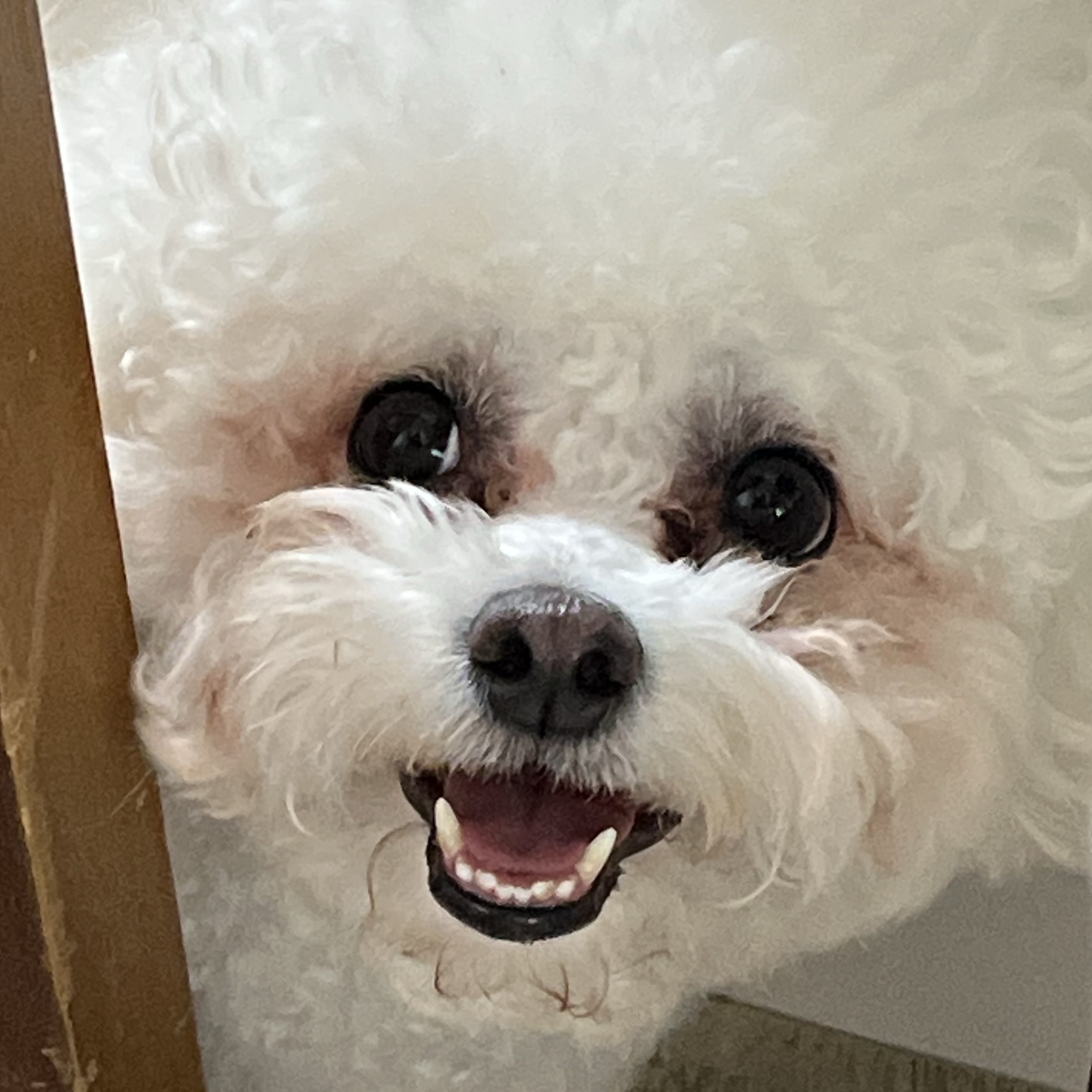 지수님의 스타일
