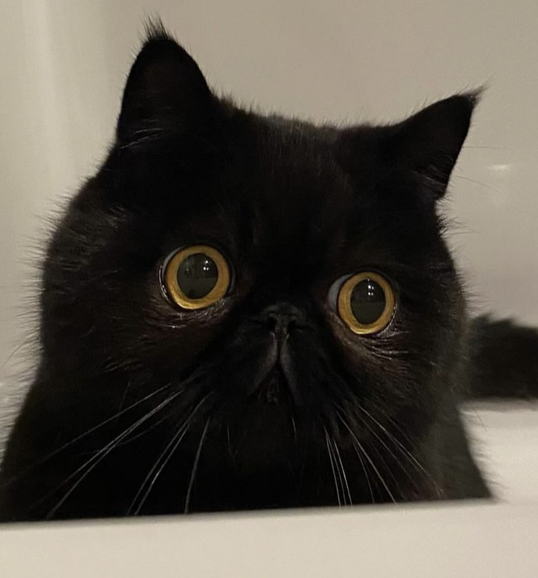 관심 유저 프로필 이미지