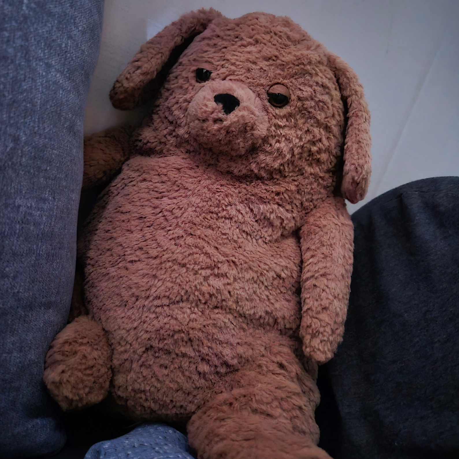Jellycat Amore Dog Brown 착용 스타일