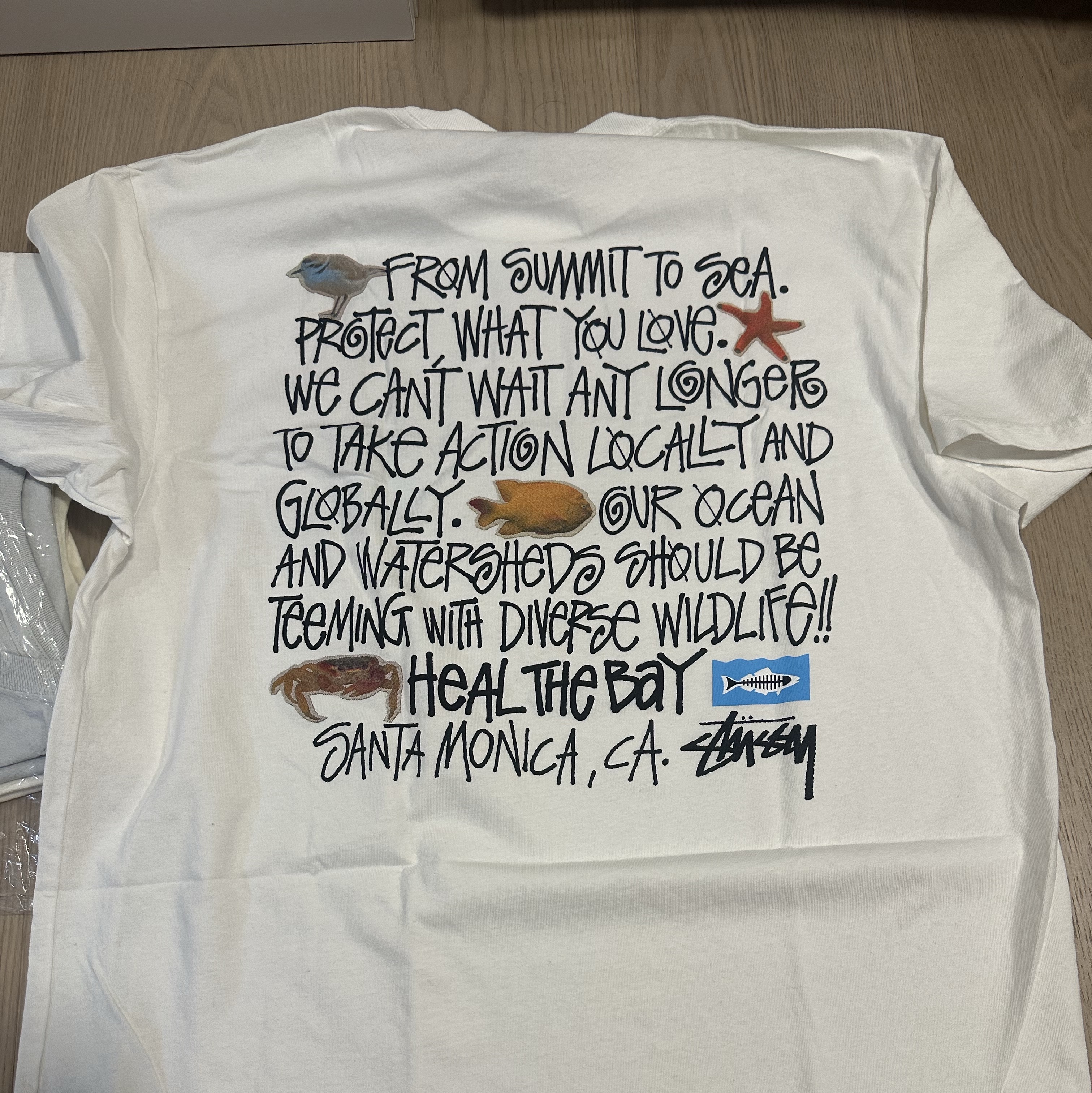 Stussy x Heal The Bay Summit To Sea Pigment Dyed T-Shirt Natural 착용 스타일