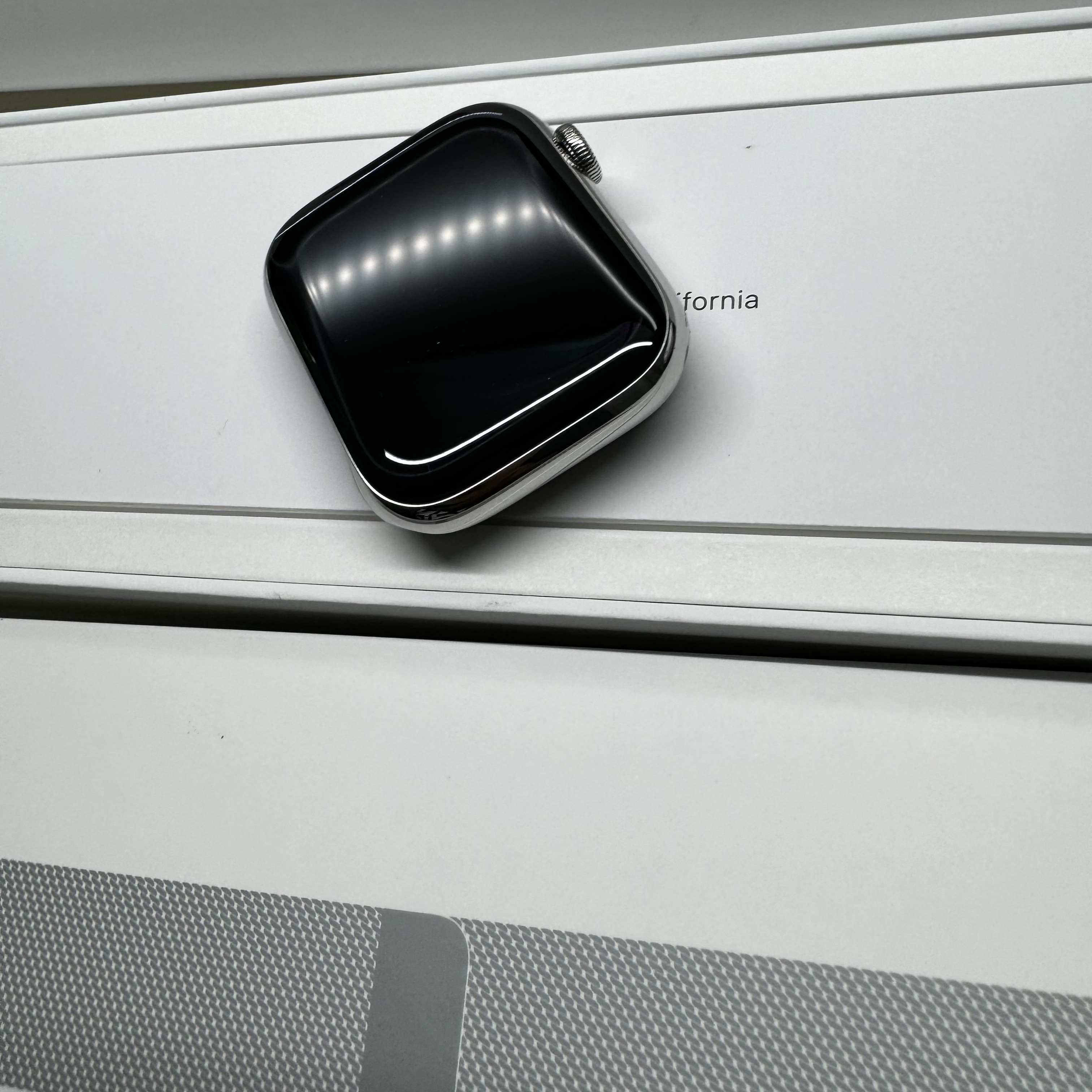 Apple Watch Series 8 45mm Cellular Silver Stainless Steel Case with Milanese Loop Silver (Korean Ver.) 착용 스타일