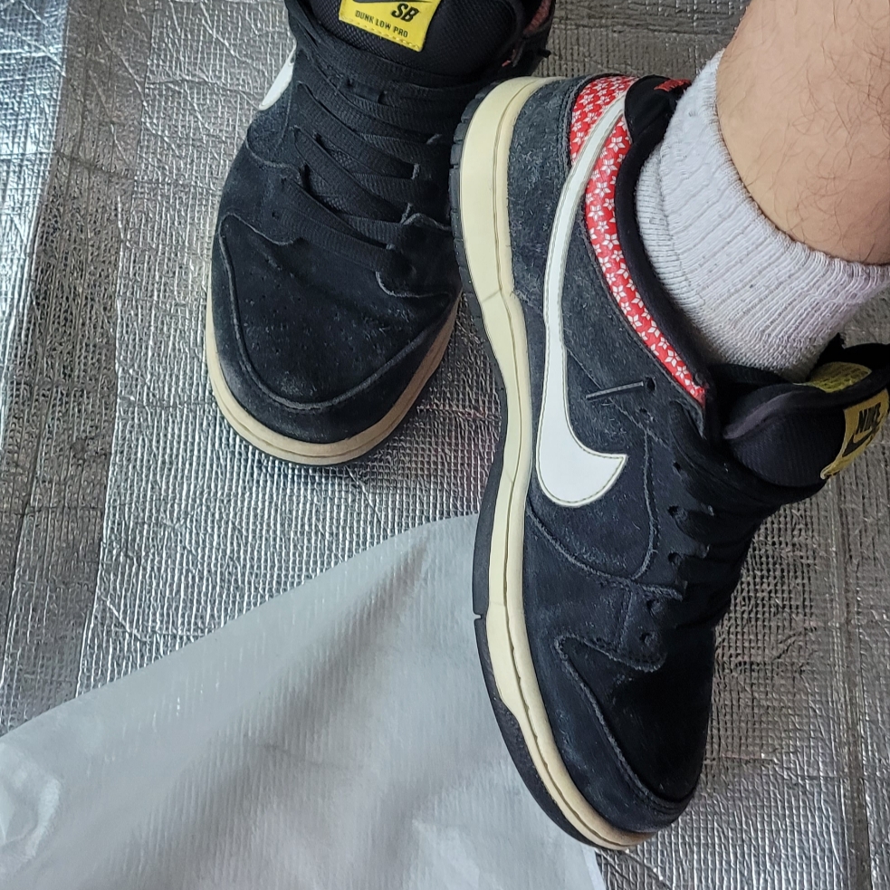 Nike Dunk Low Premium SB Firecracker 착용 스타일 - 1