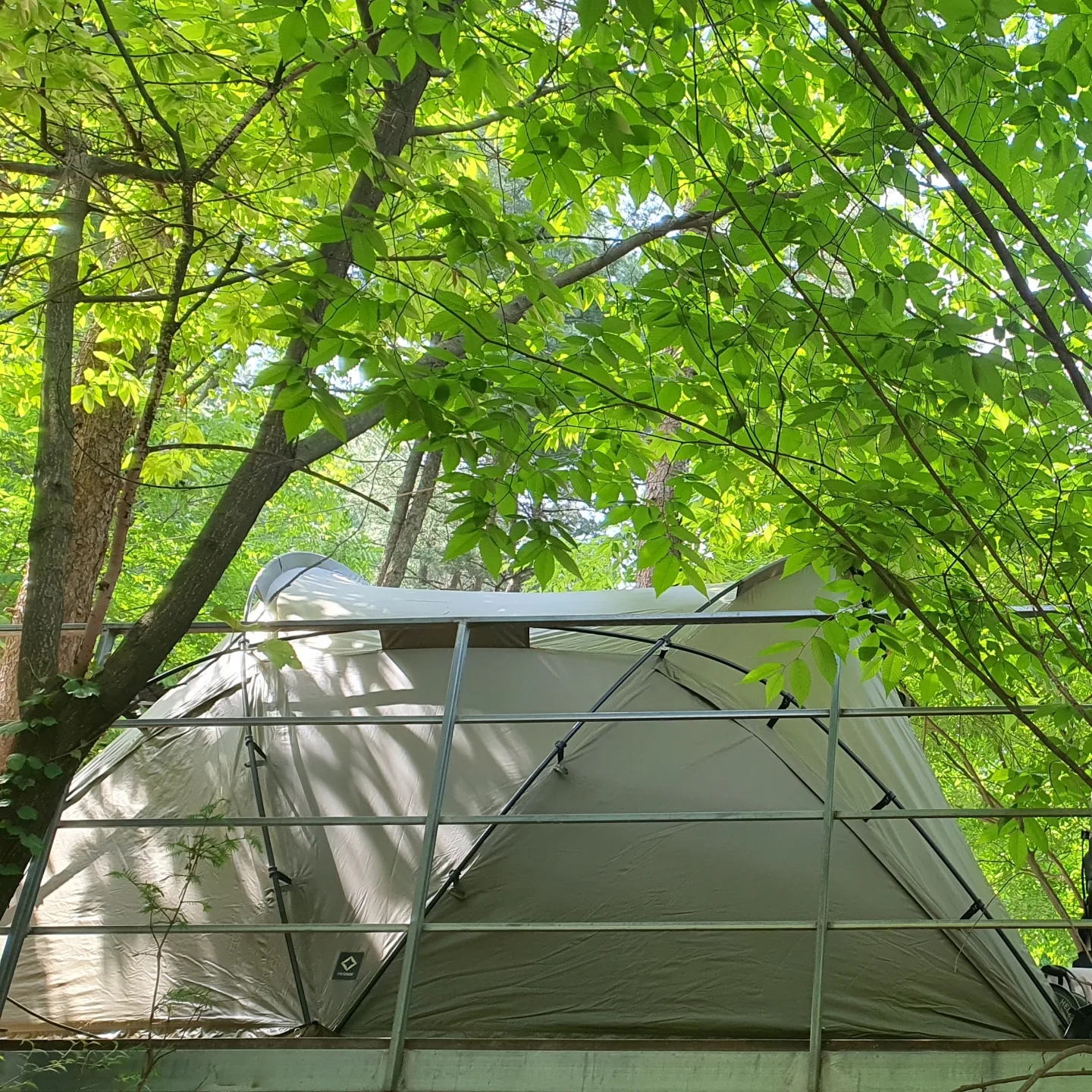 Helinox Tactical V-Tarp 4.0 R1 Coyote Tan 착용 스타일 - 3