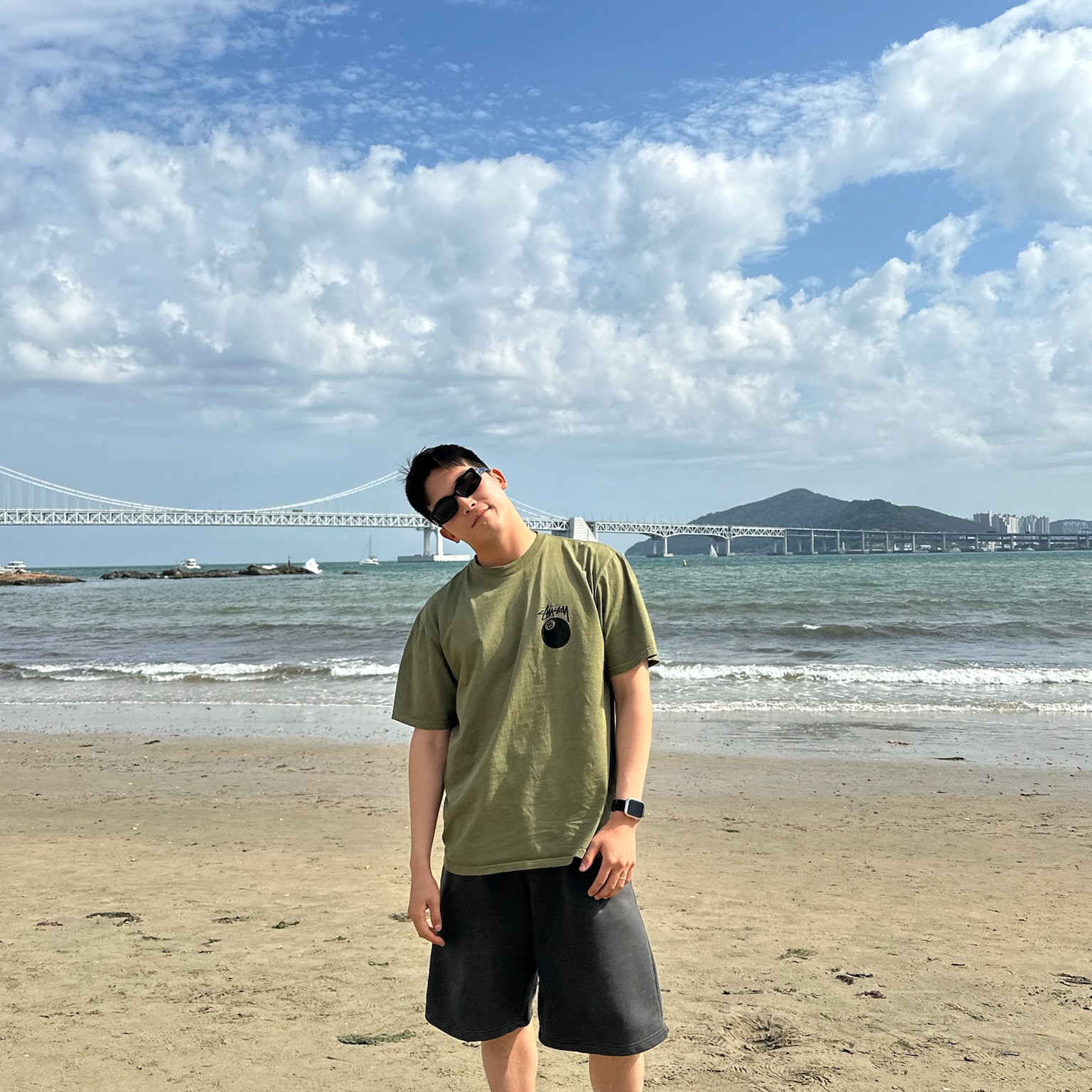 Stussy 8 Ball Pigment Dyed T-Shirt Olive, Gentle Monster Antena 01 Black 착용 스타일