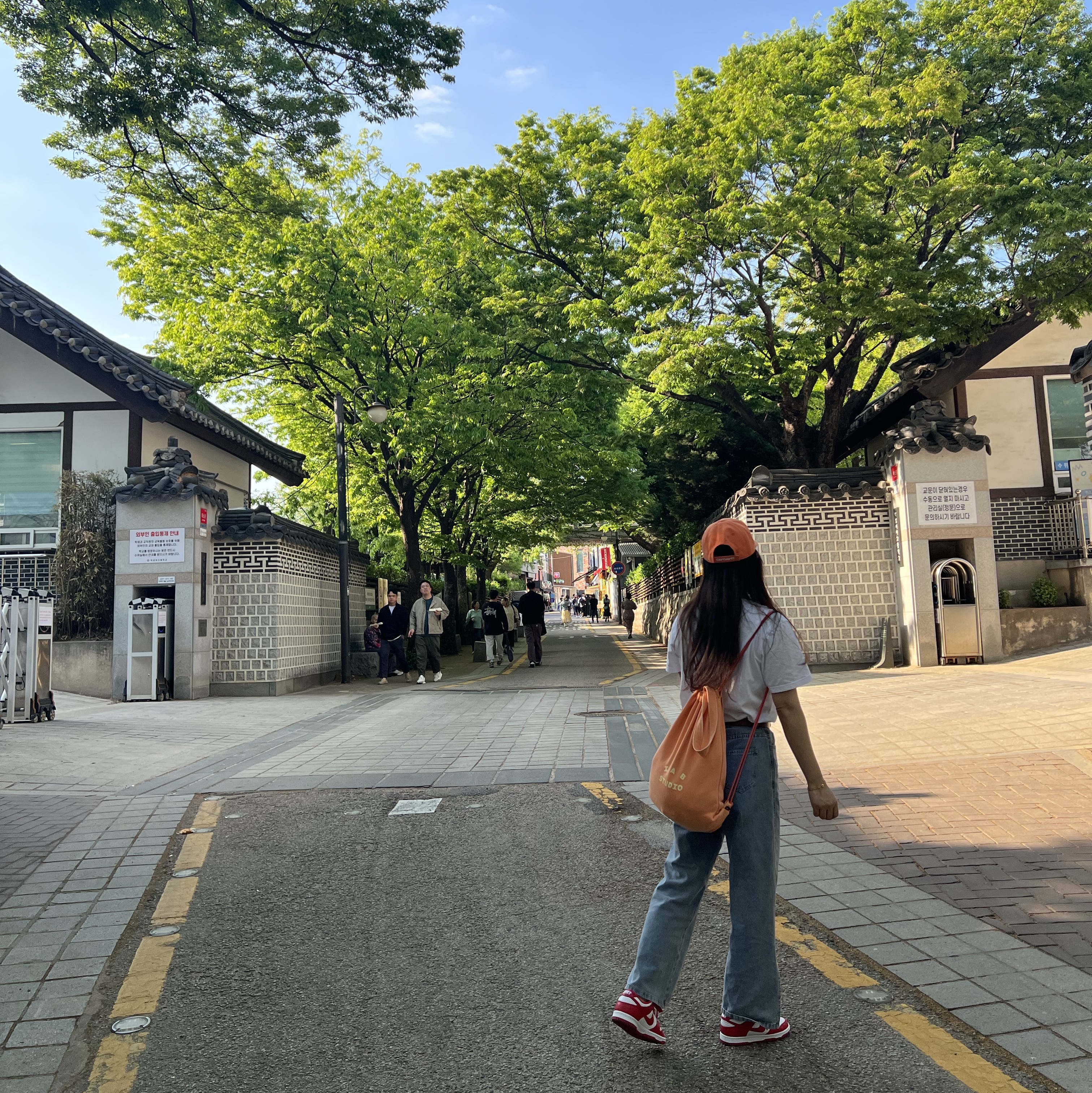 IAB Studio Pigment Hoodie & Sack Salmon, Nike Dunk Low SP White and University Red 2023 착용 스타일 - 2