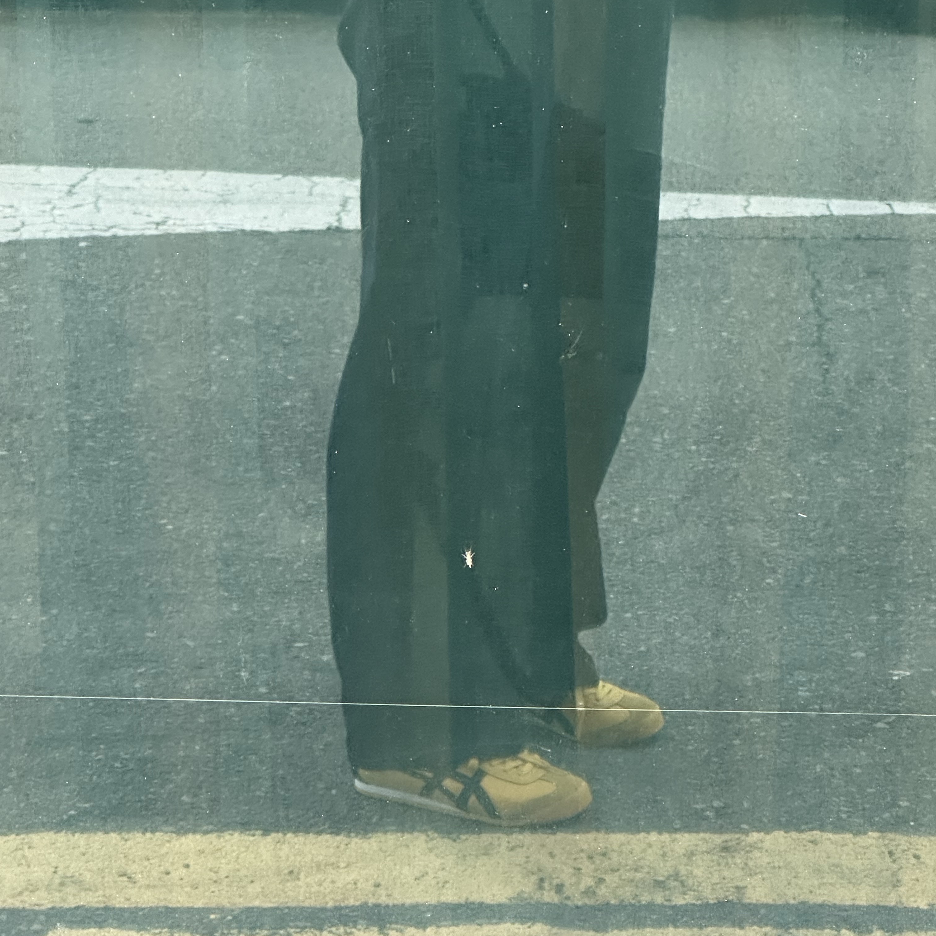 Onitsuka Tiger Mexico 66 Yellow Black 착용 스타일 - 4
