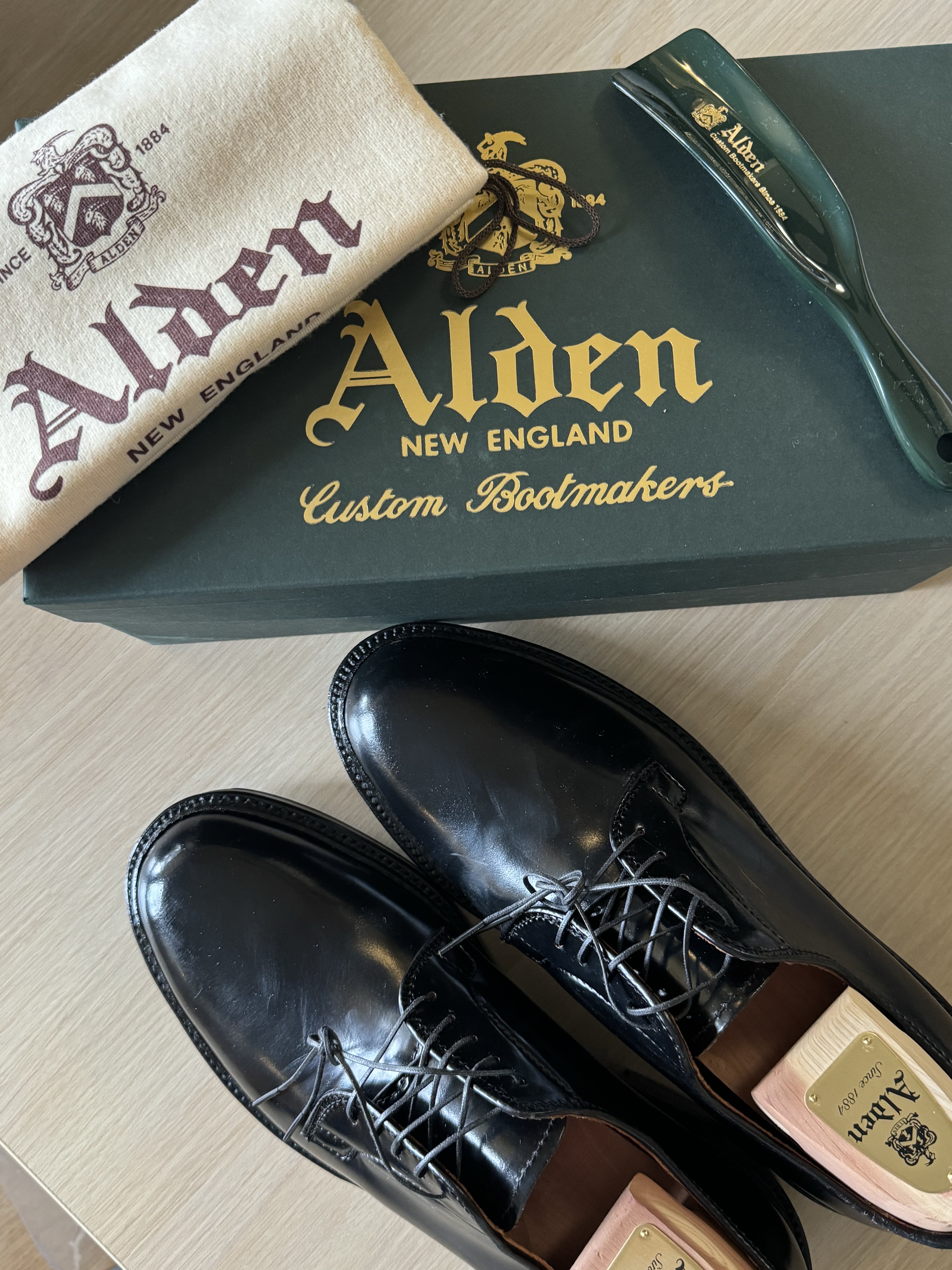 Alden 9901 Cordovan Plain Toe Blucher Oxford Black - D 착용 스타일 - 1