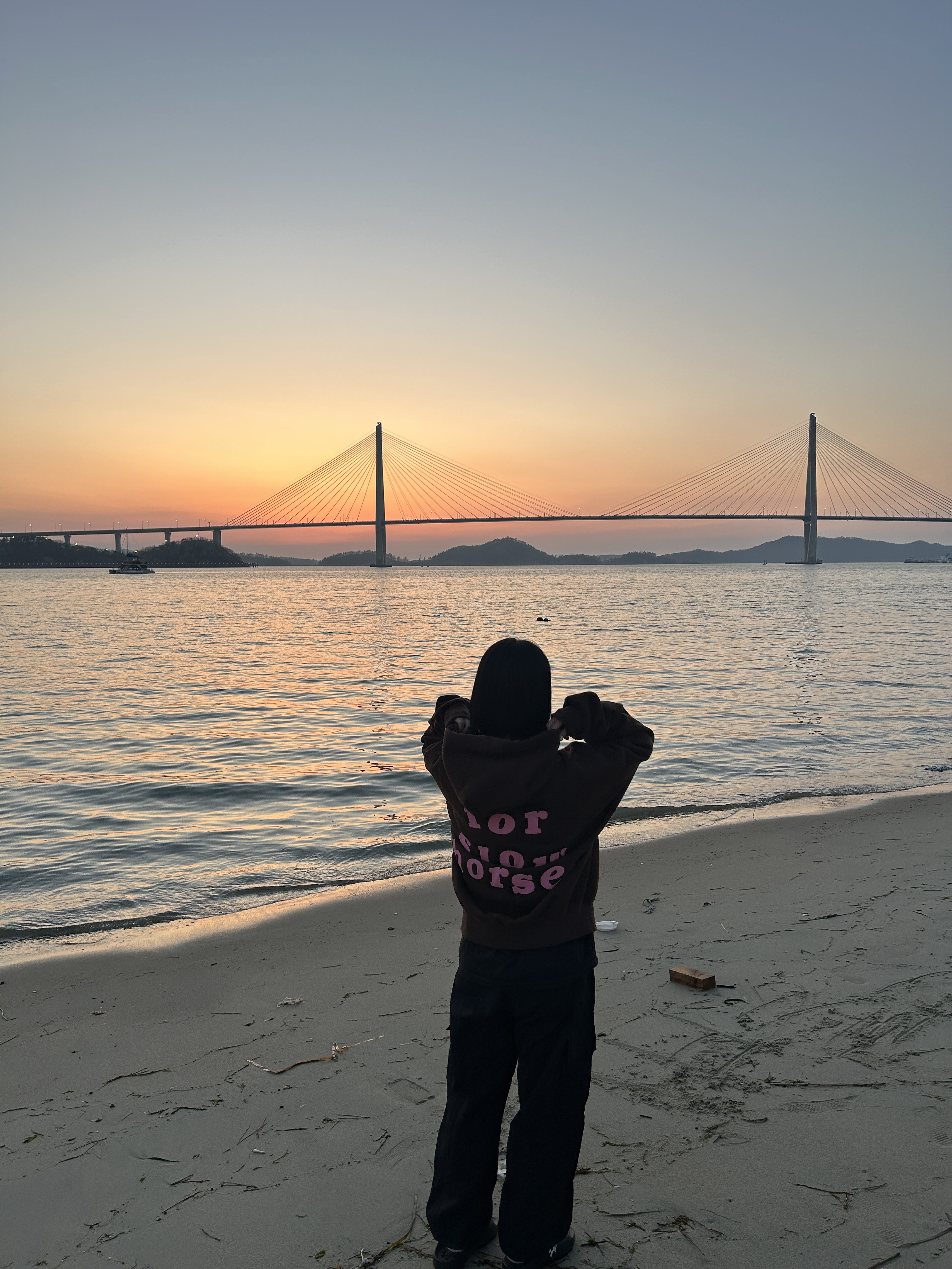 Netherworld Slow Horses Hoodie Brown Pink 착용 스타일