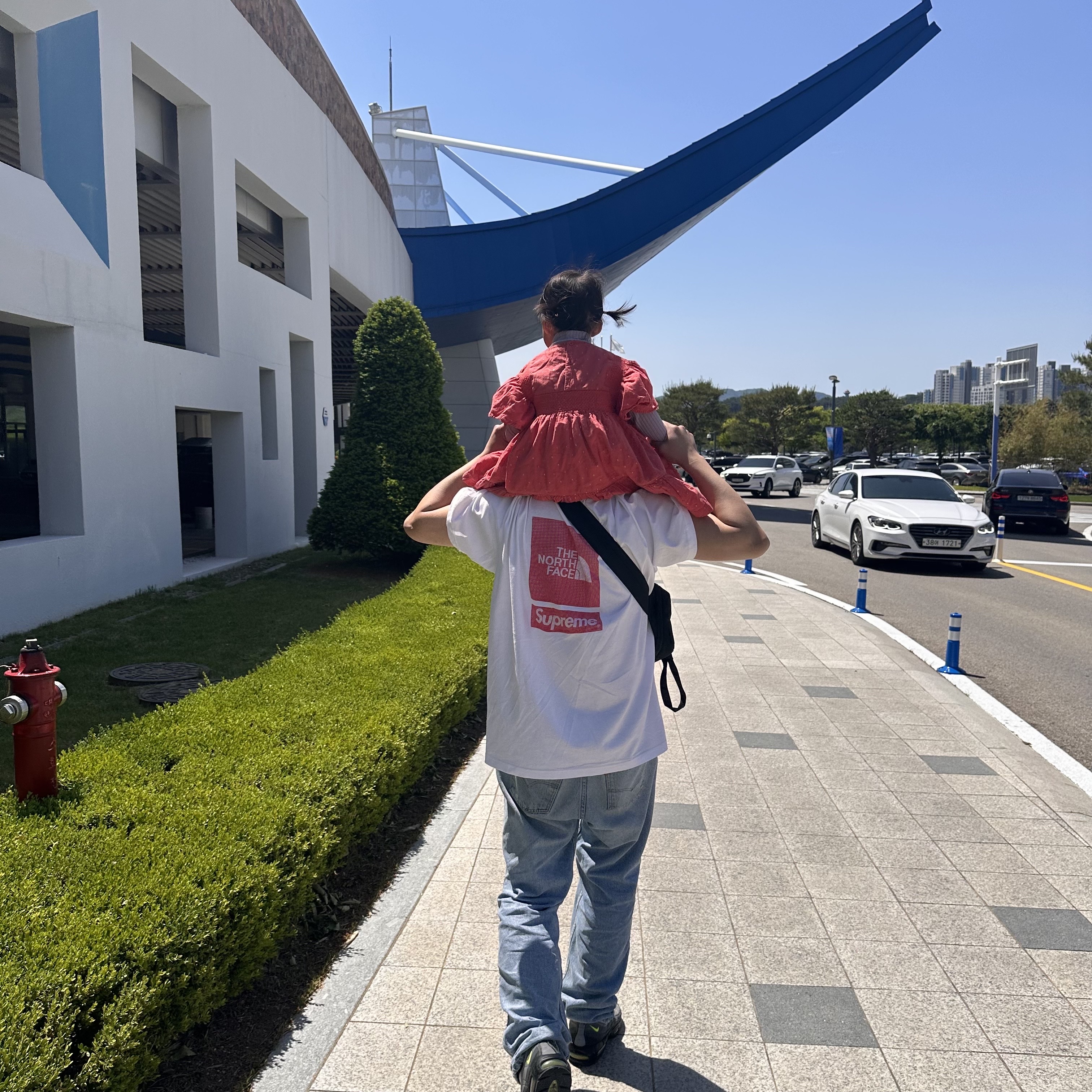 Supreme x The North Face S/S Top White - 24SS 착용 스타일