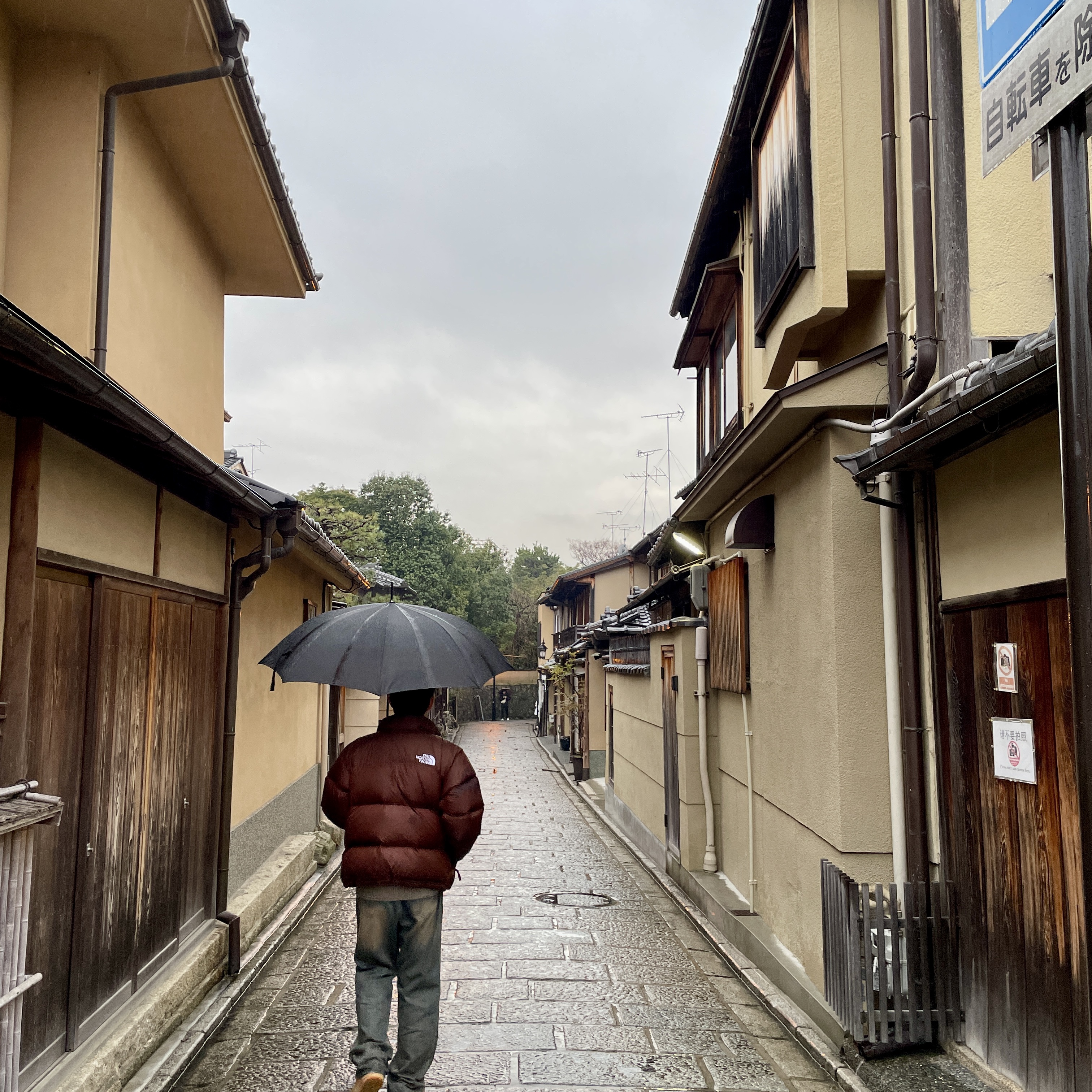 The North Face 1996 Retro Nuptse Jacket Dark Oak 착용 스타일 - 2