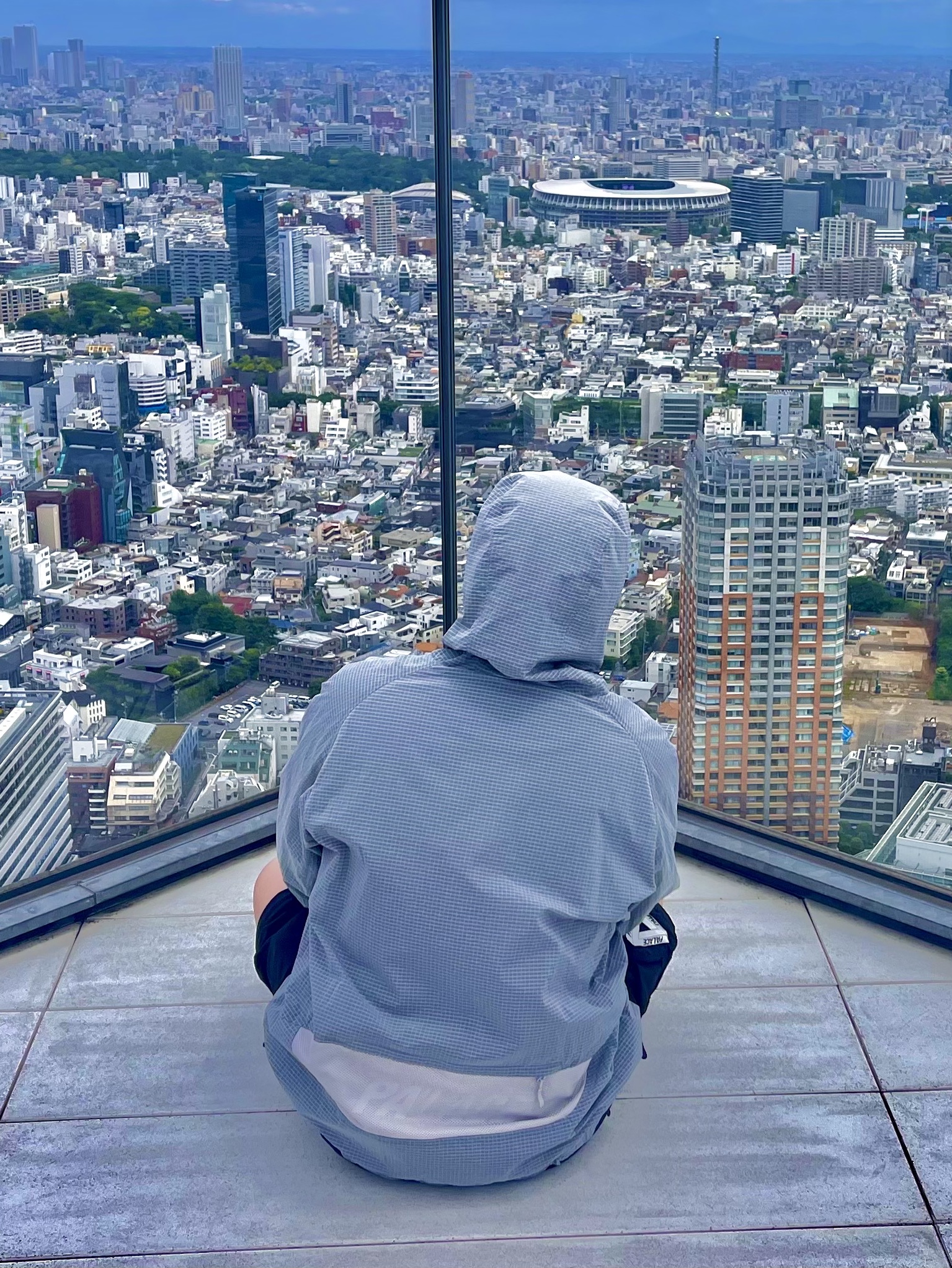 Nike ACG Woven Hooded Jacket Hyper Grape - US/EU, Palace Tri-Ferg Desert 6-Panel Black - 24SS 착용 스타일 - 3