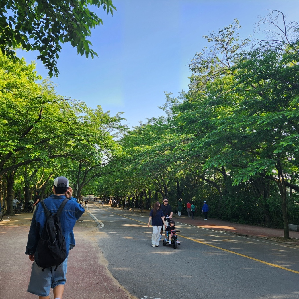 반스 볼트 OG 어센틱 LX 레드 착용 스타일 - 2