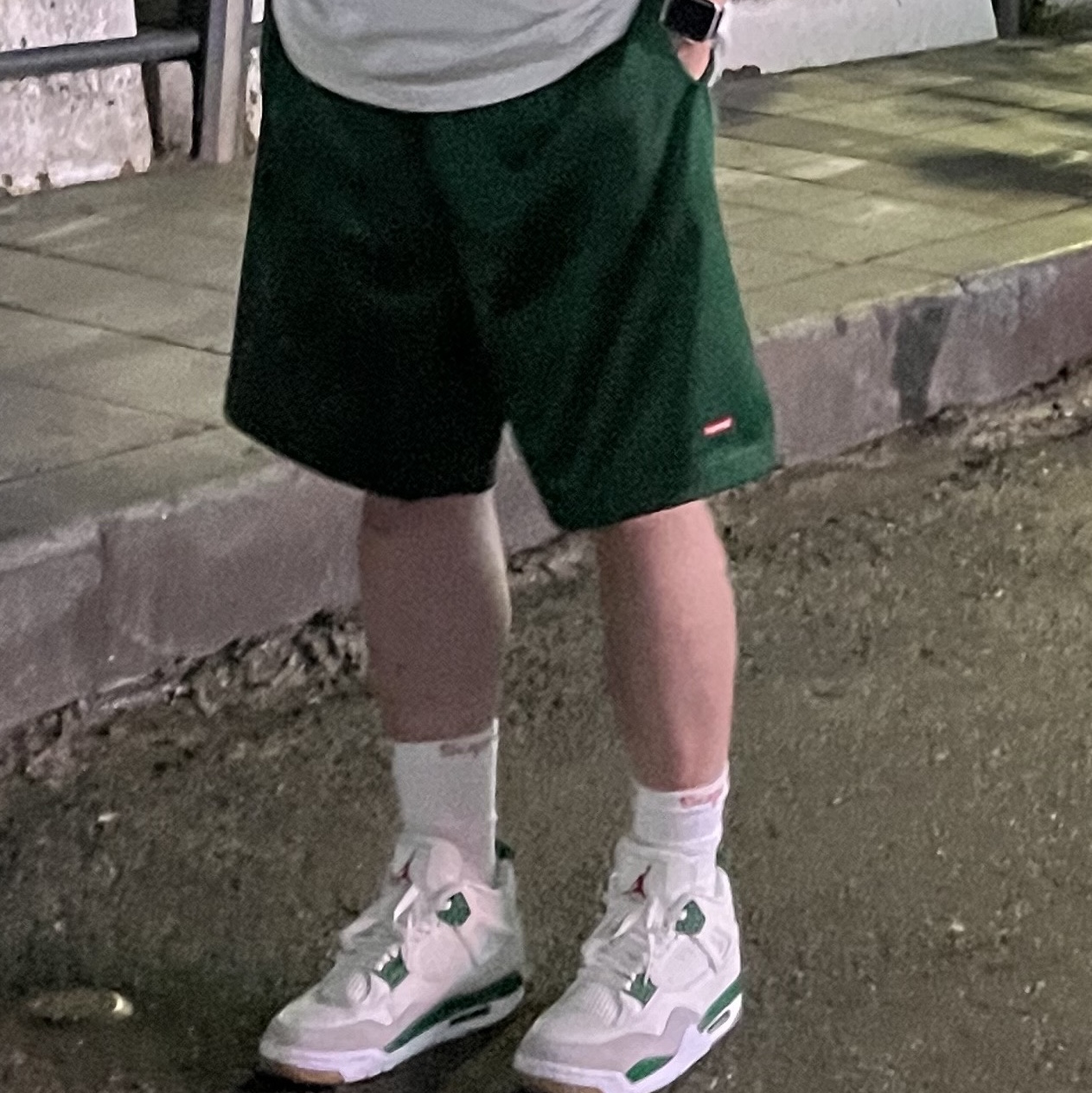 Supreme Box Logo T-Shirt White - 23FW, Supreme Small Box Baggy Mesh Short Green - 24SS 착용 스타일