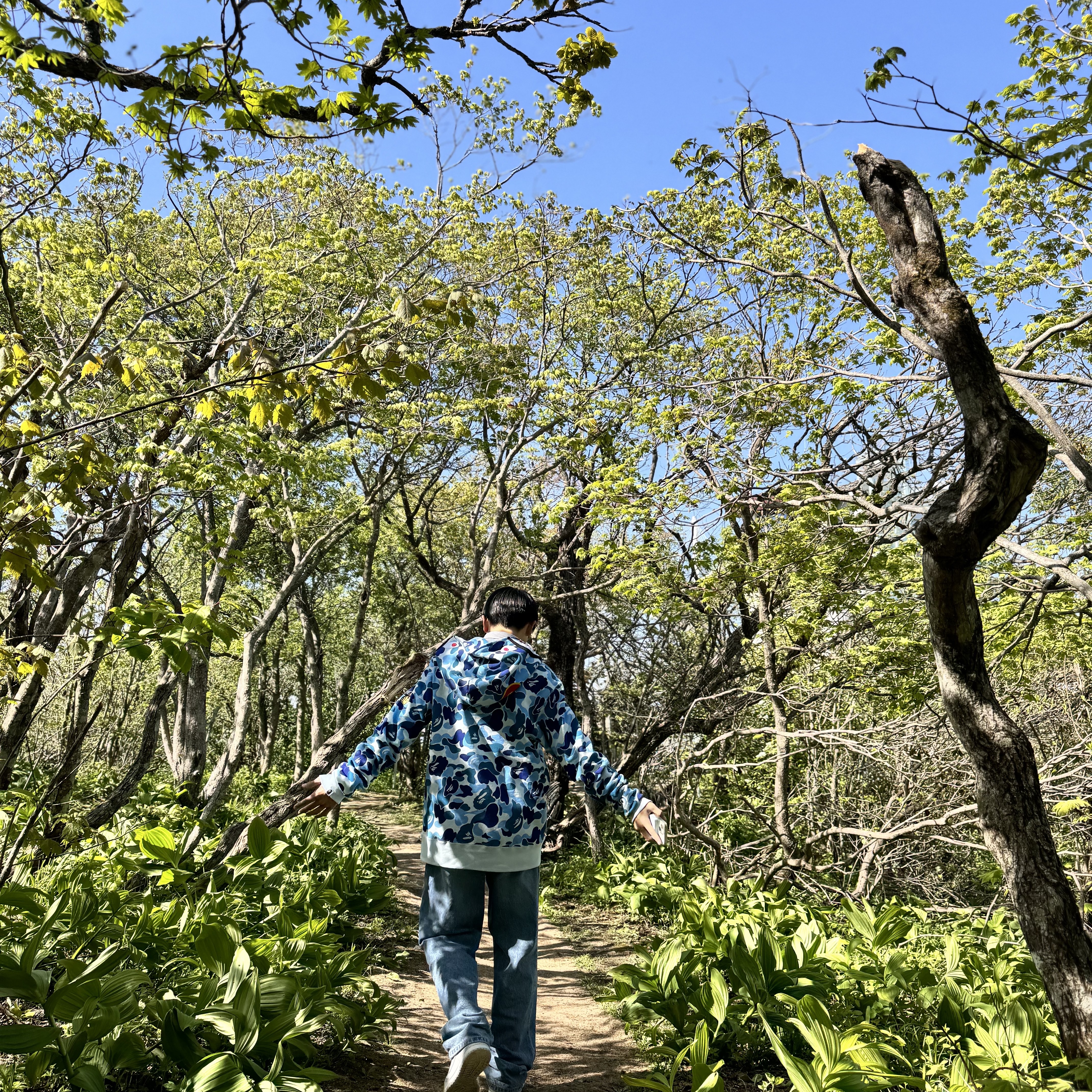 BAPE ABC Camo Double Shark Full Zip Hoodie Light Blue, BAPE Baby Milo Metal Keychain Brown 착용 스타일 - 4