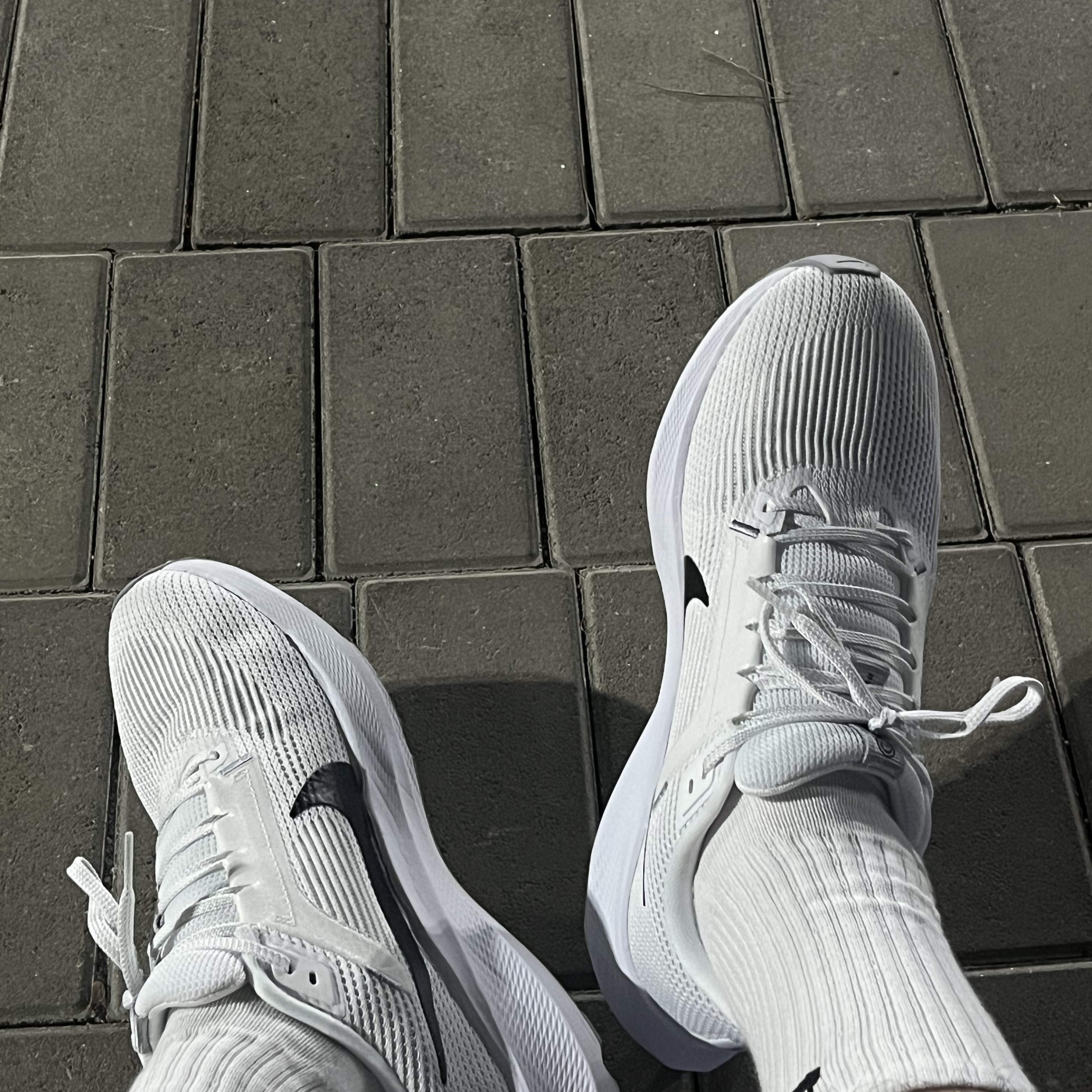 Nike Air Zoom Pegasus 40 White Wolf Grey 착용 스타일