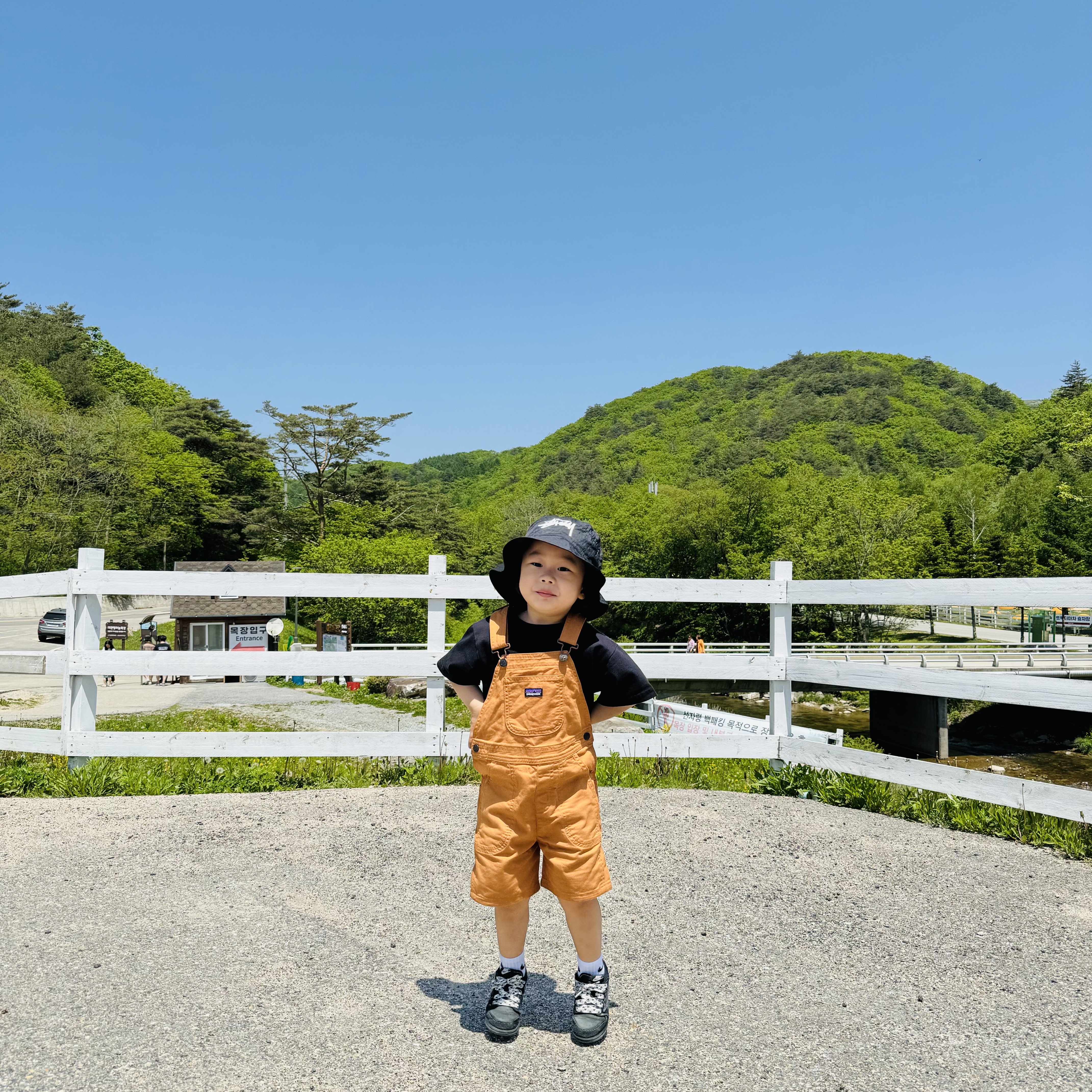 Nike x Stussy Bucket Hat Black, (Baby) Patagonia Stand Up Shortalls Umber Brown 착용 스타일 - 2