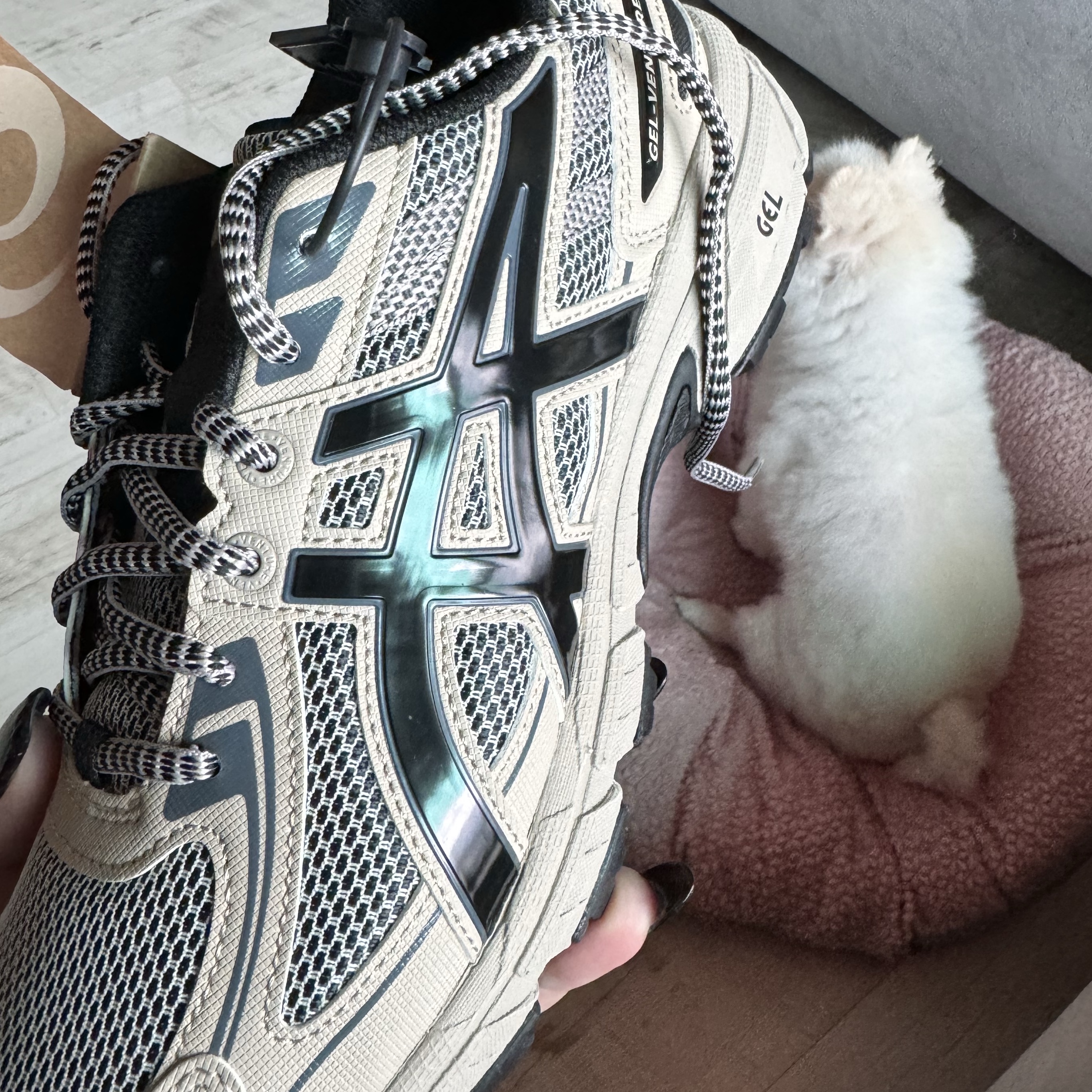 Asics Gel-Venture 6 Feather Grey Black 착용 스타일