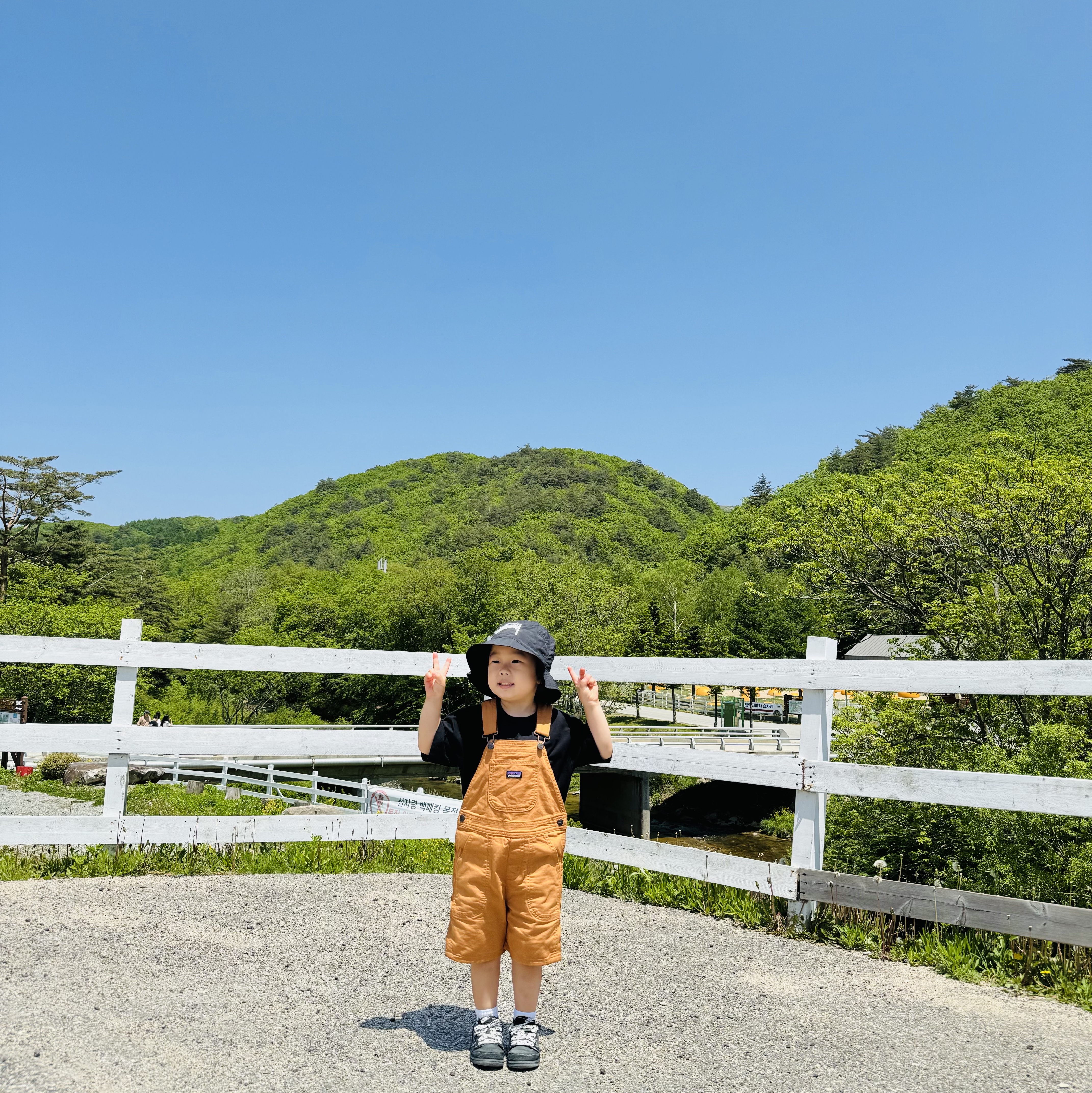 Nike x Stussy Bucket Hat Black, (Baby) Patagonia Stand Up Shortalls Umber Brown 착용 스타일 - 7